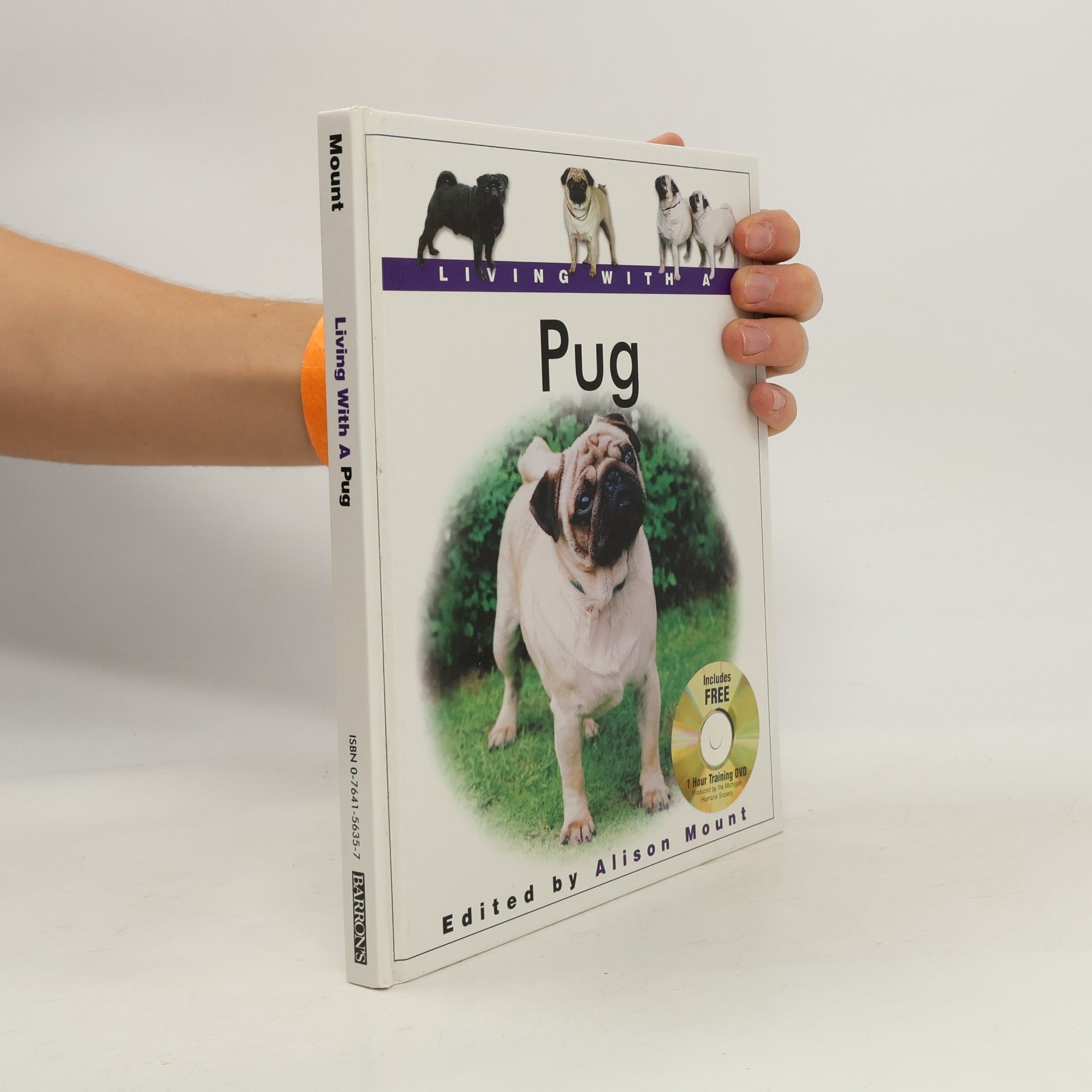 Living with a Pug