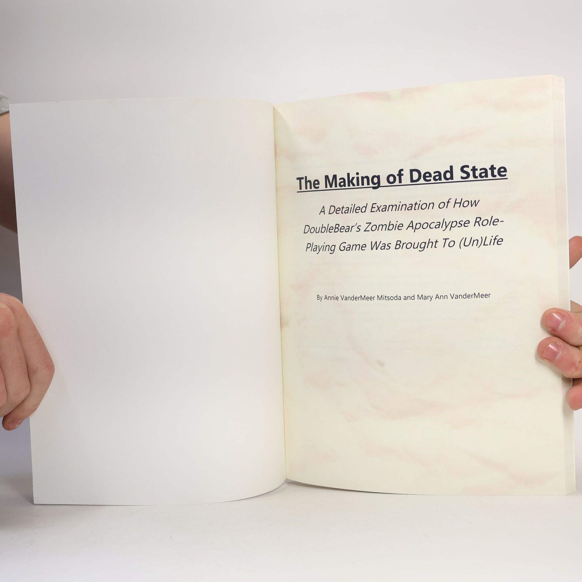 Annie Vandermeer Mitsoda The Making of Dead State