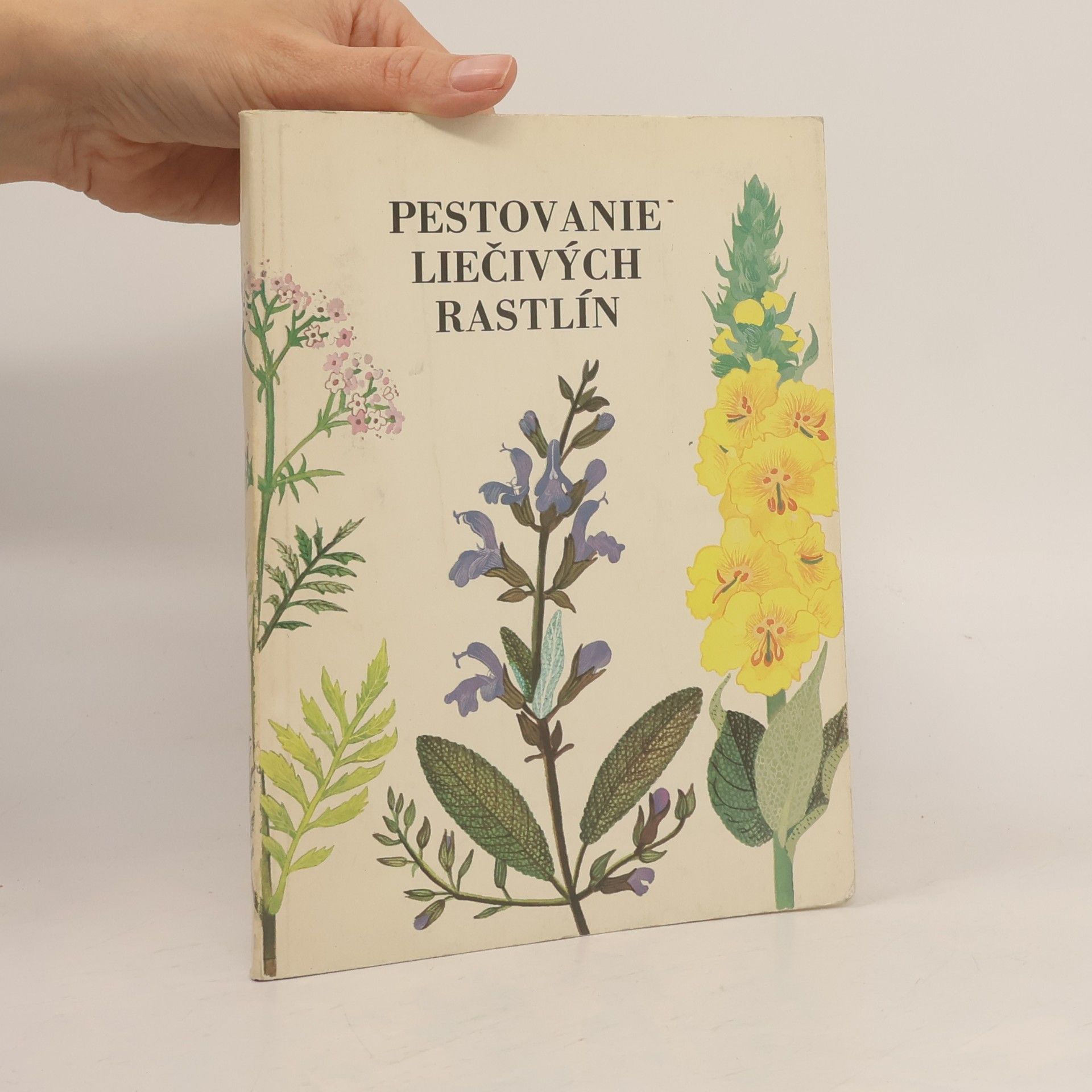 Pestovanie liečivých rastlin