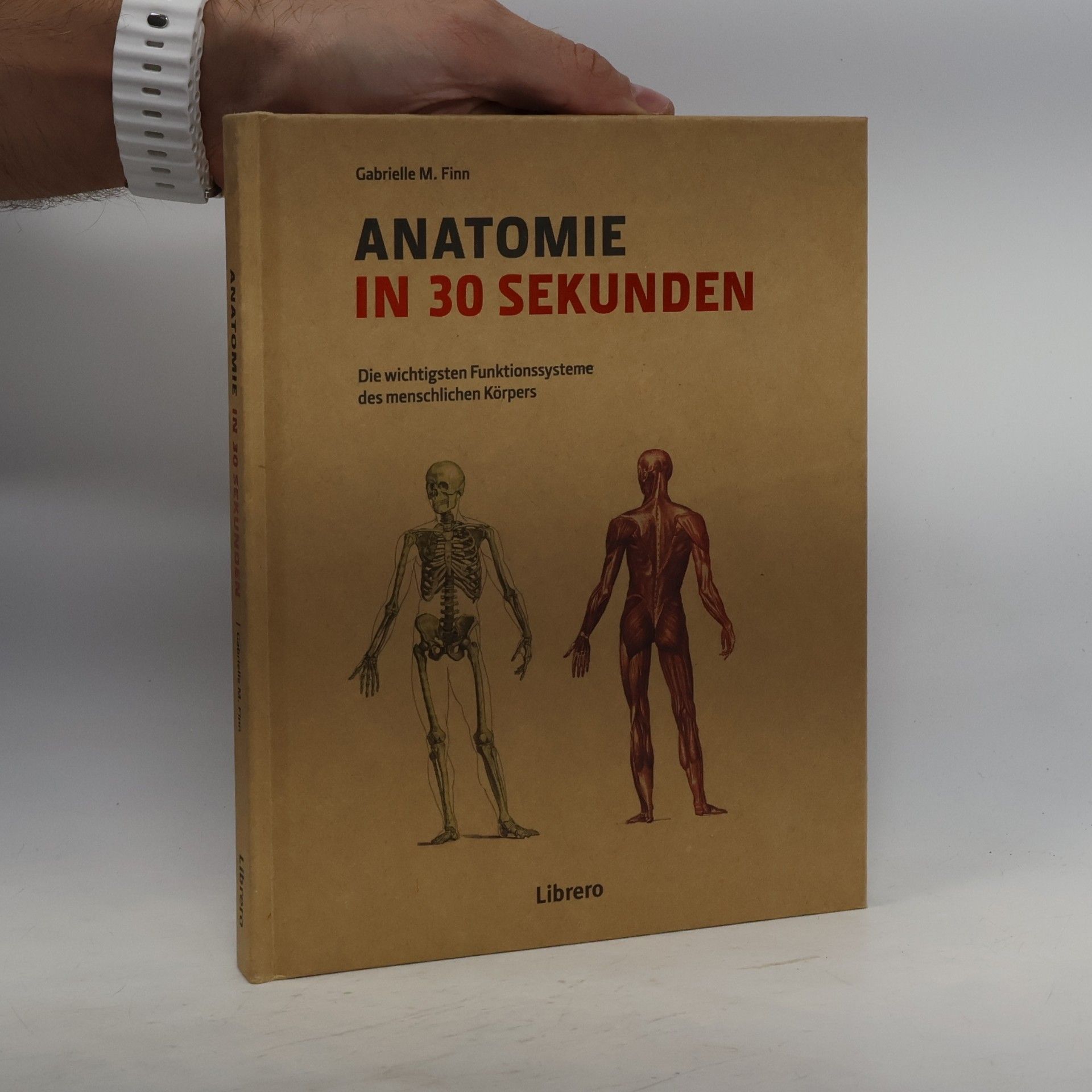 Gabrielle M. Finn Anatomie in 30 Sekunden