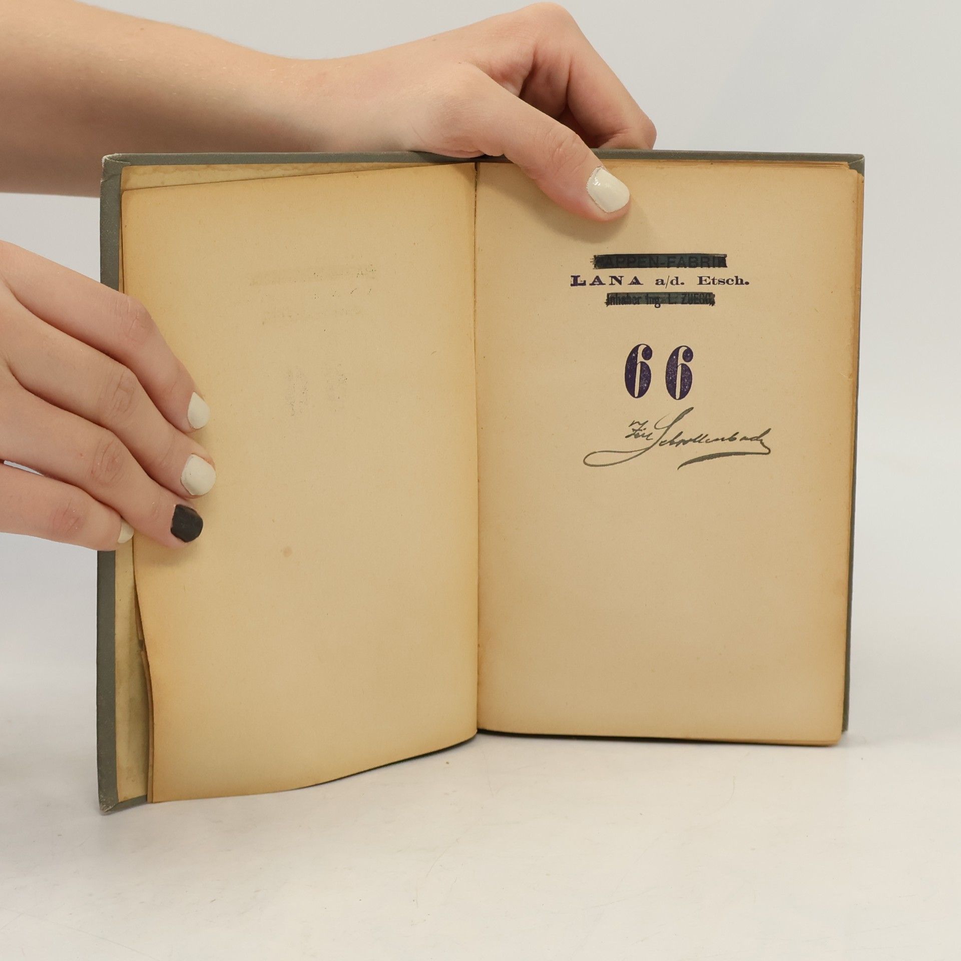 Julius Verne Meister Antifer's wunderbare Abenteuer