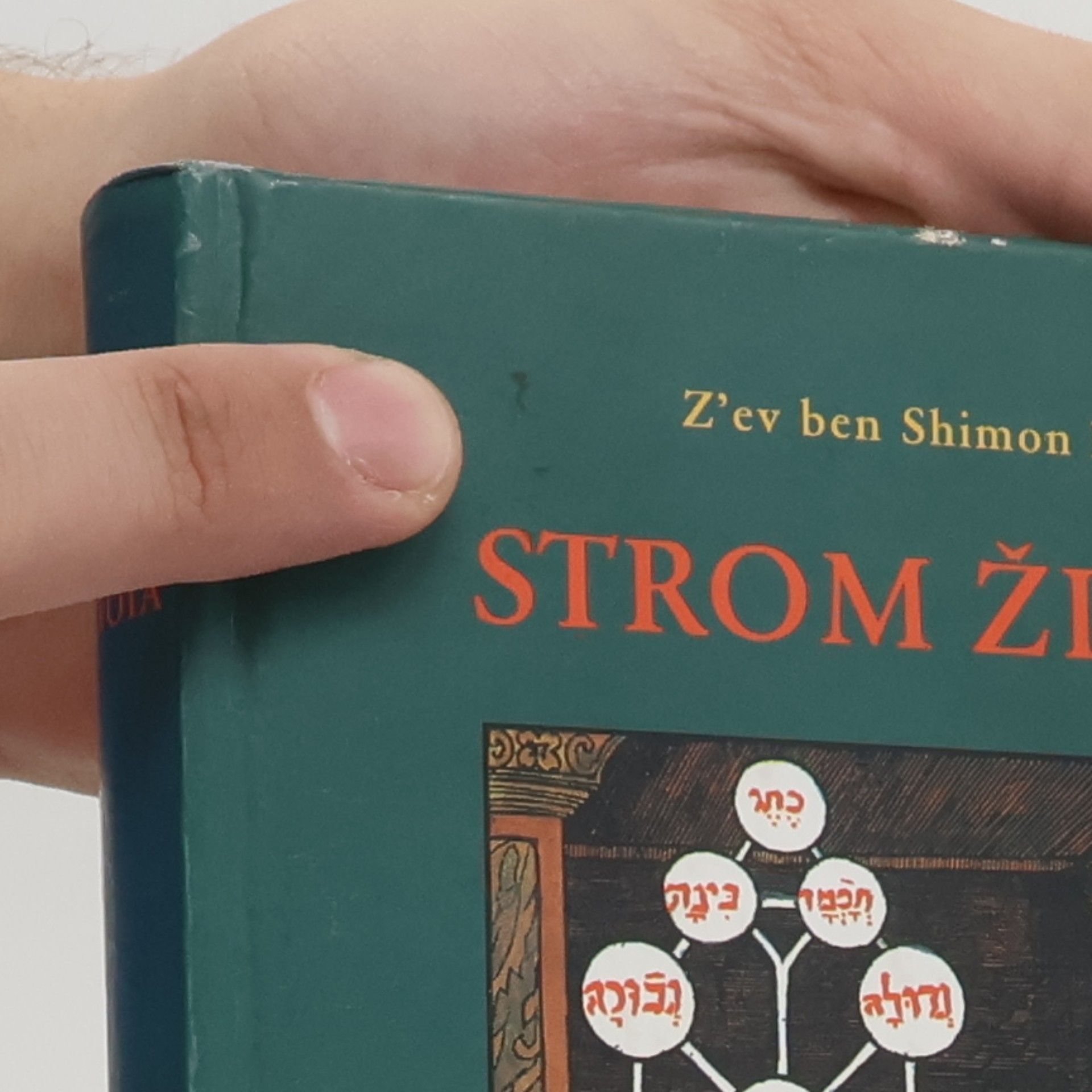 Peter Bugár Strom života: Úvod do Kabaly