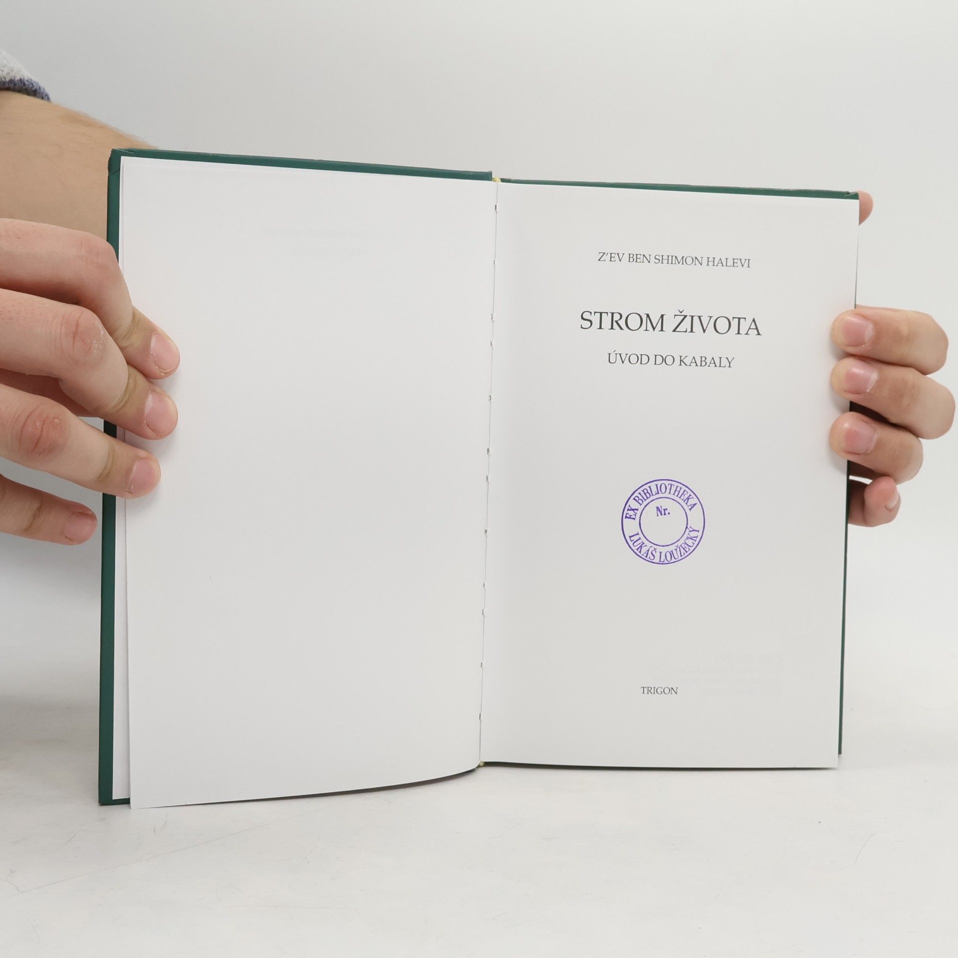 Peter Bugár Strom života: Úvod do Kabaly