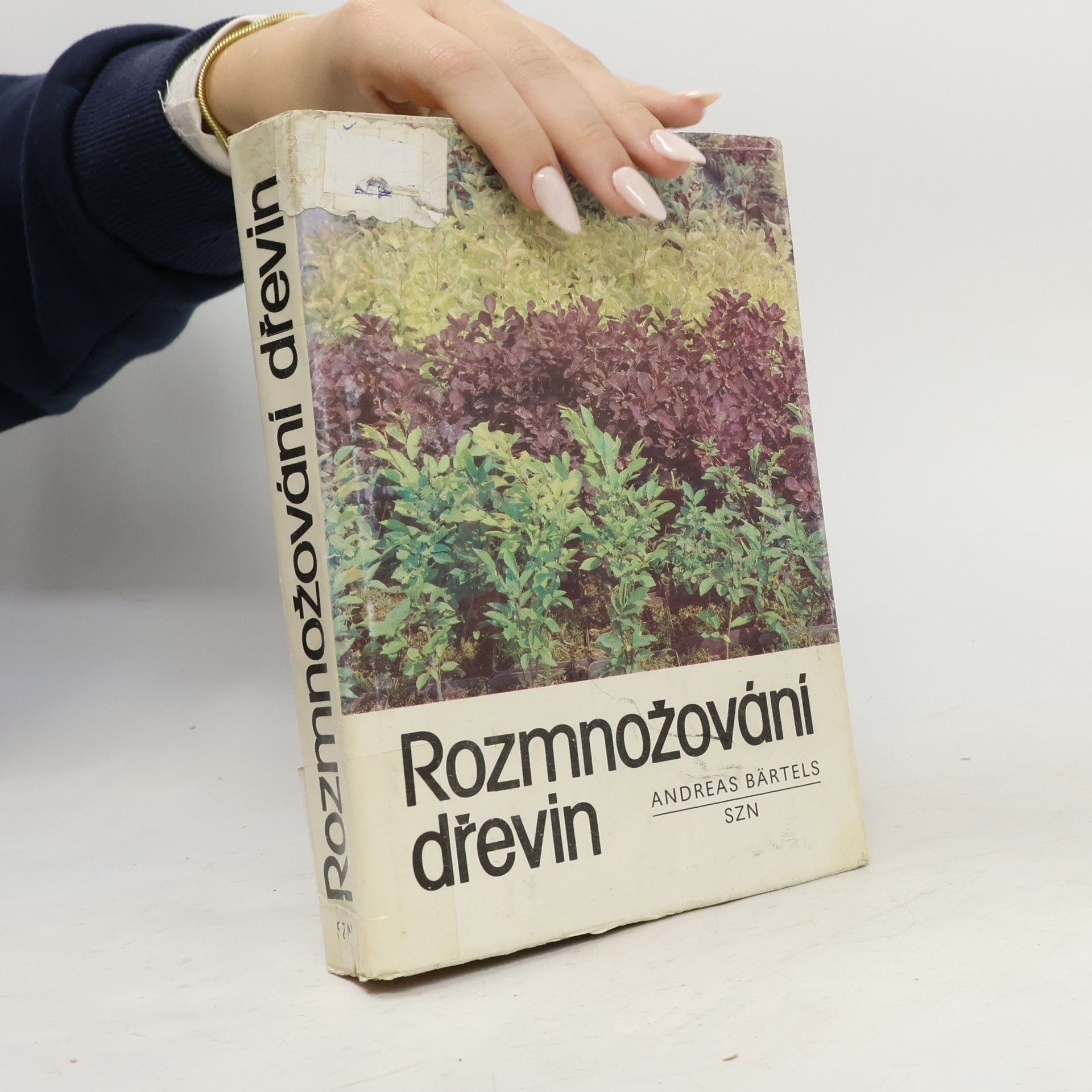 Rozmnožování dřevin