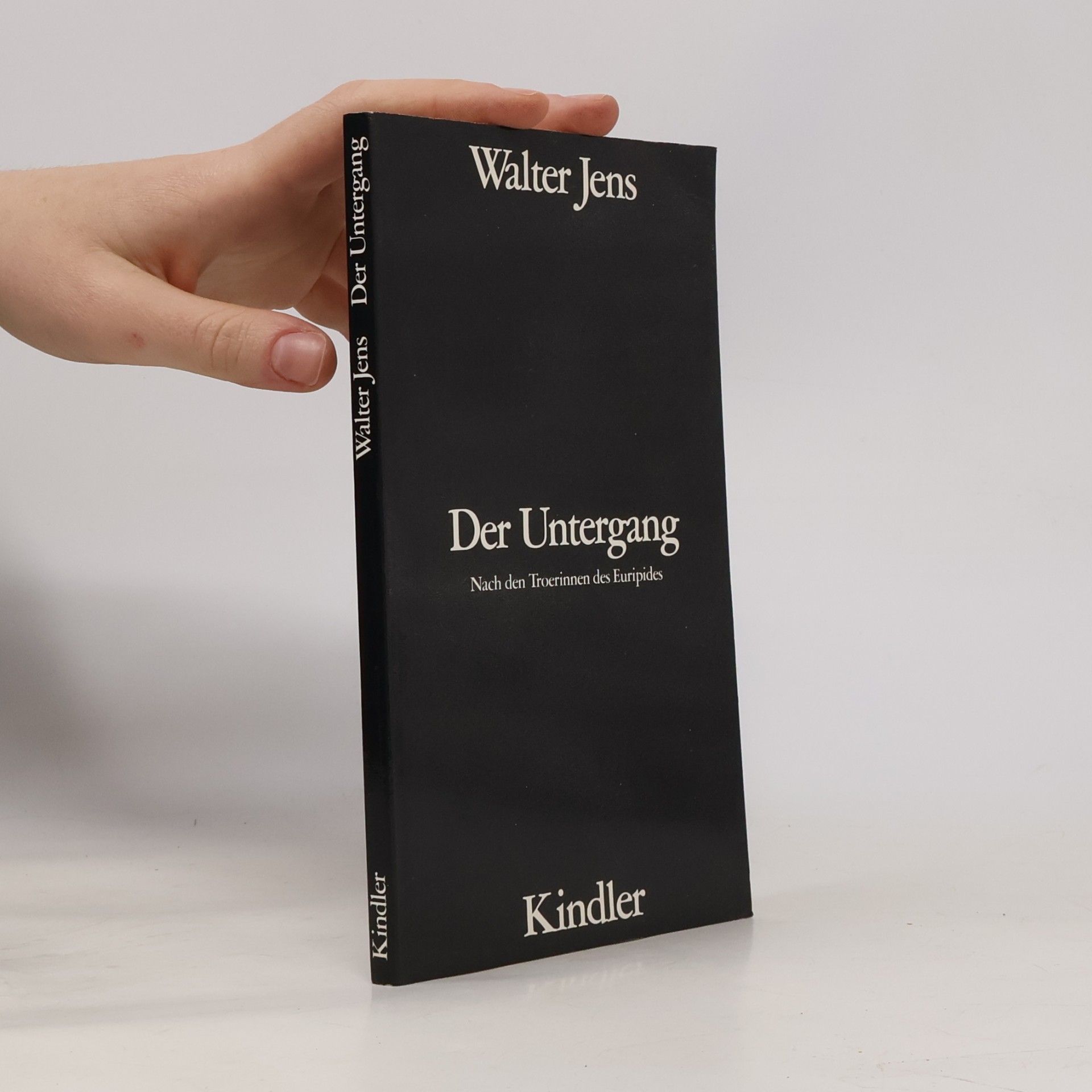 Jens-Walter Lüpkes Der Untergang