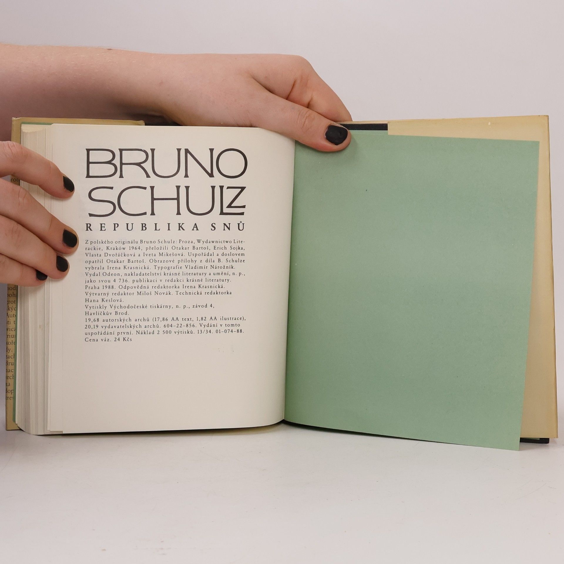 Bruno Schulz Republika snů