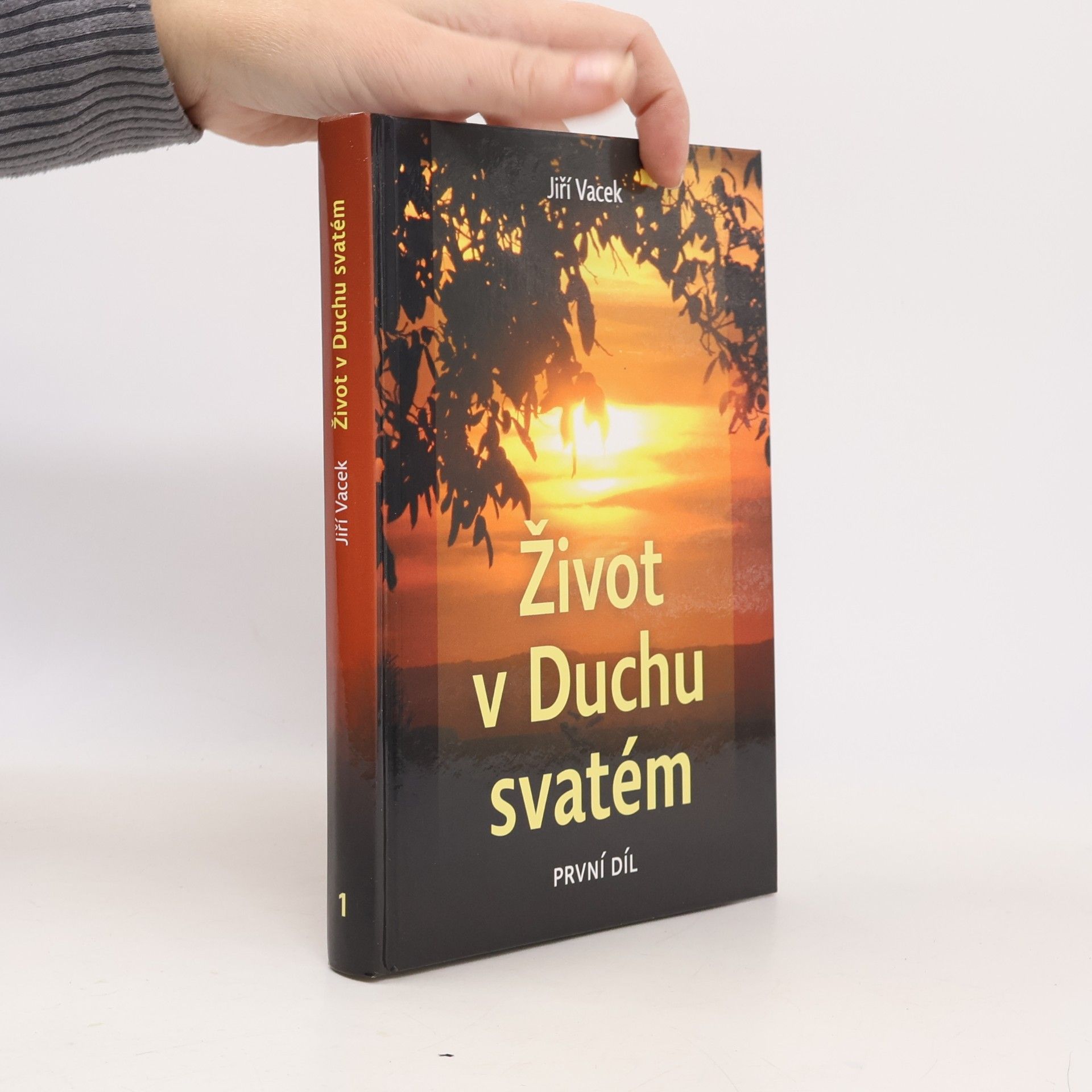 Život v Duchu svatém