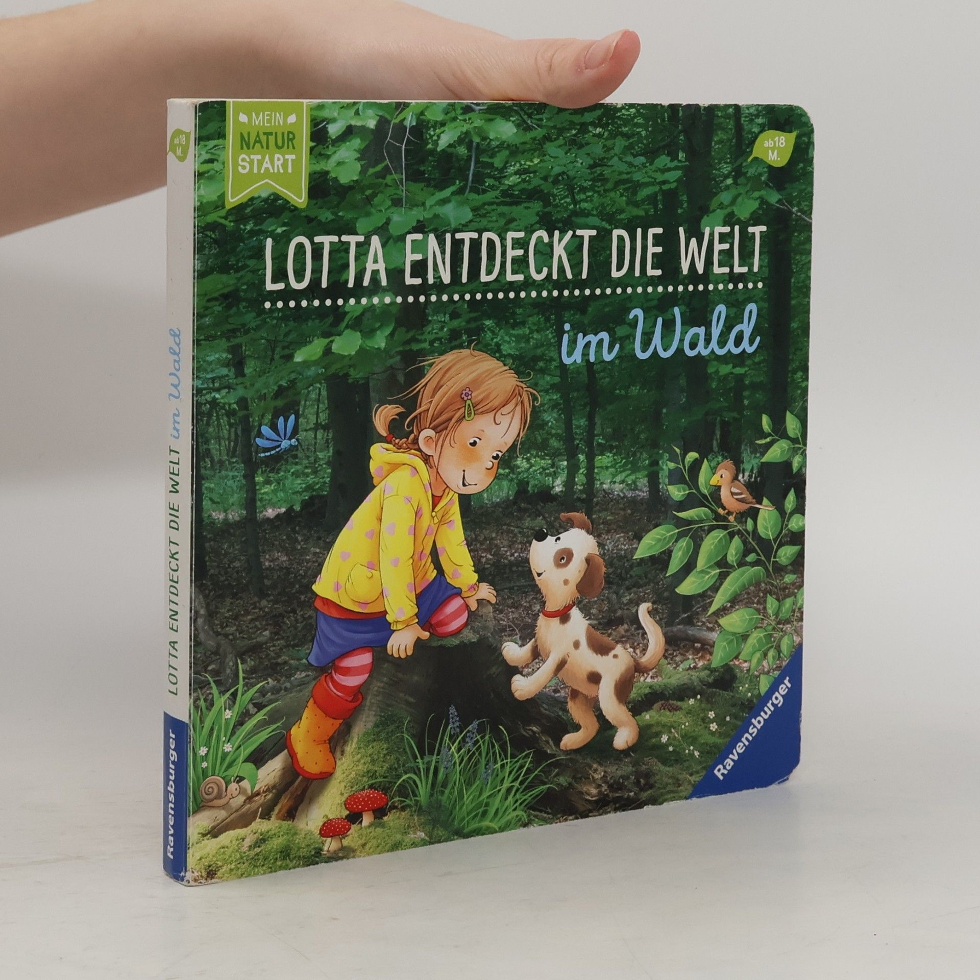 Sandra Grimm Im Wald / Lotta entdeckt die Welt Bd.1