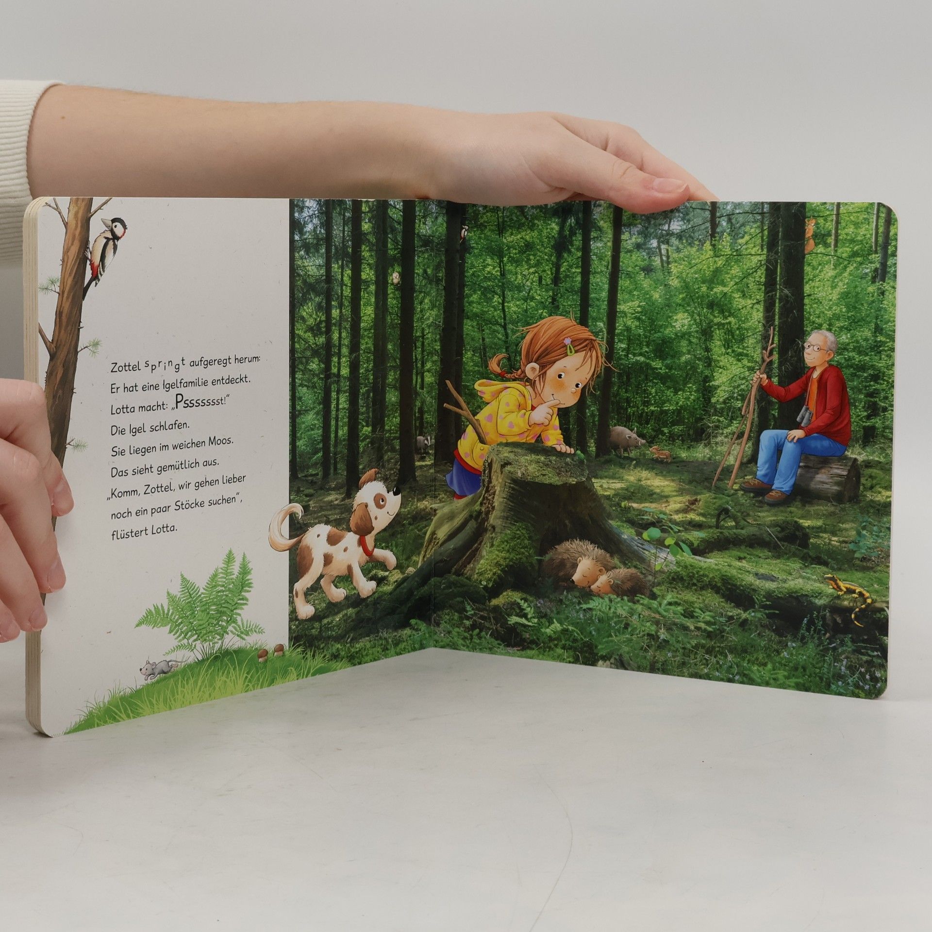Sandra Grimm Im Wald / Lotta entdeckt die Welt Bd.1