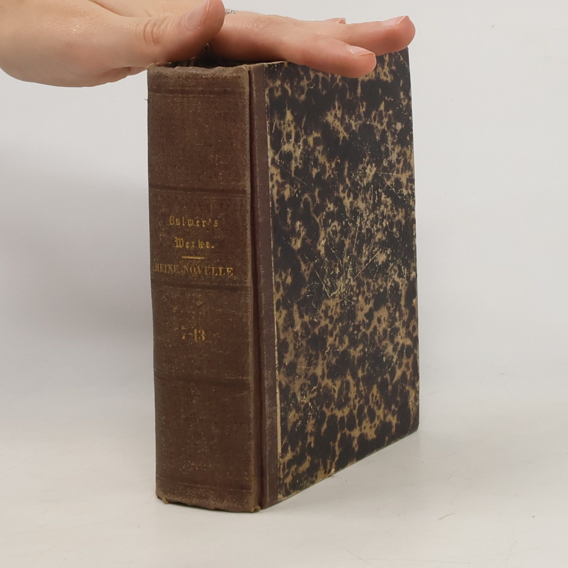Edward Bulwer-Lytton Meine Novelle 7-13