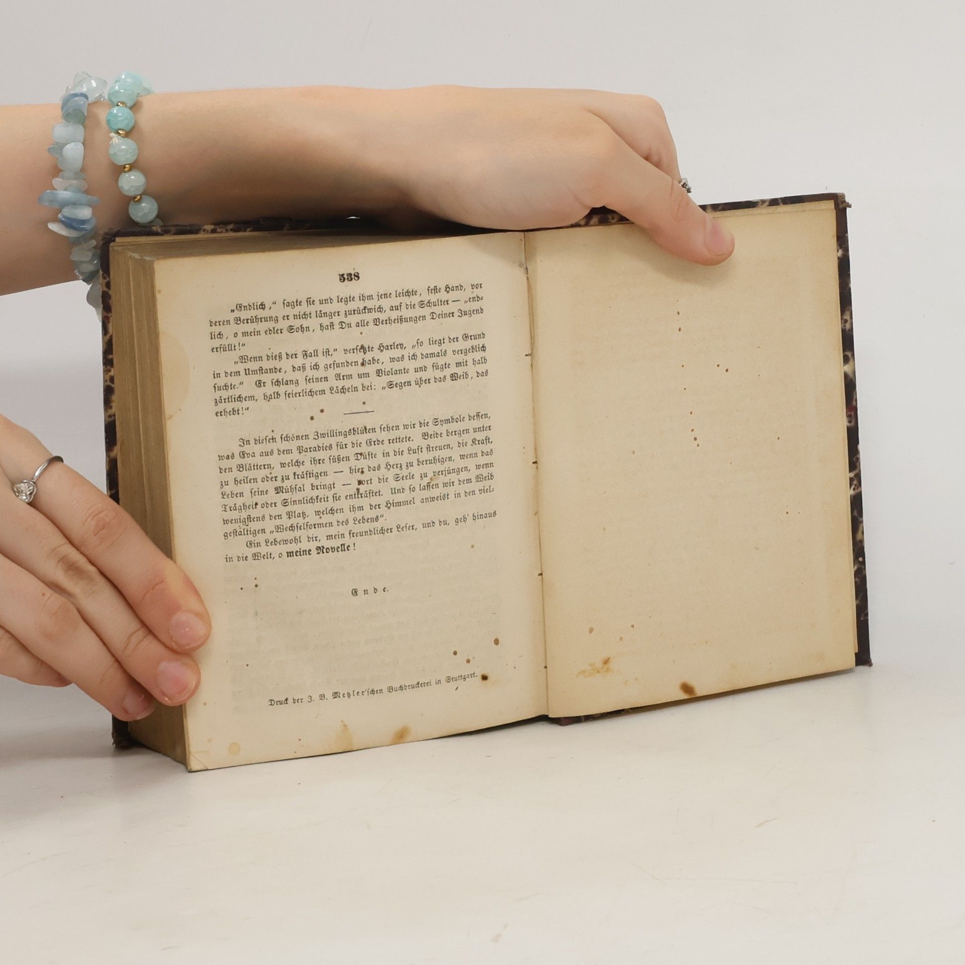 Edward Bulwer-Lytton Meine Novelle 7-13