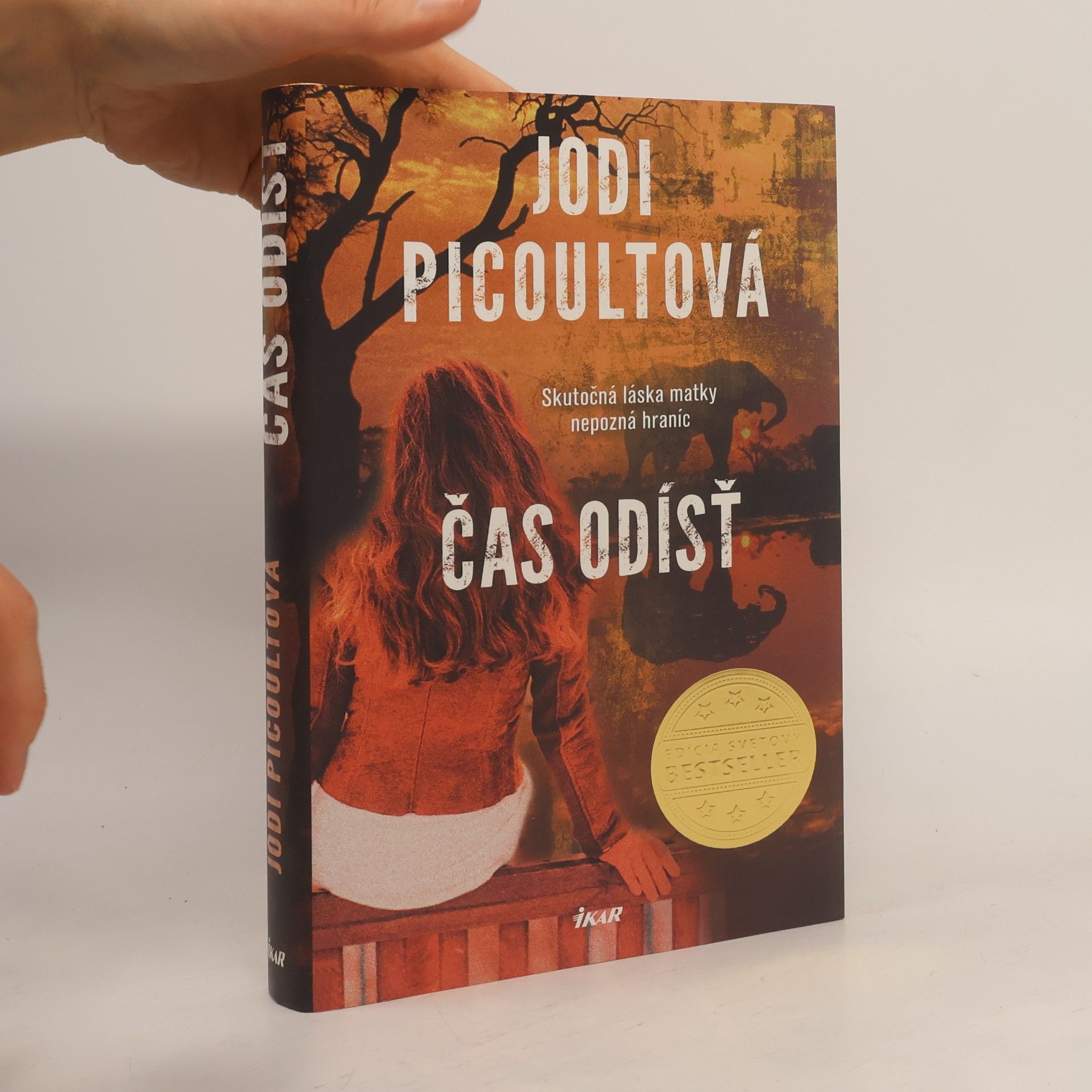 Jodi Picoult Čas odísť