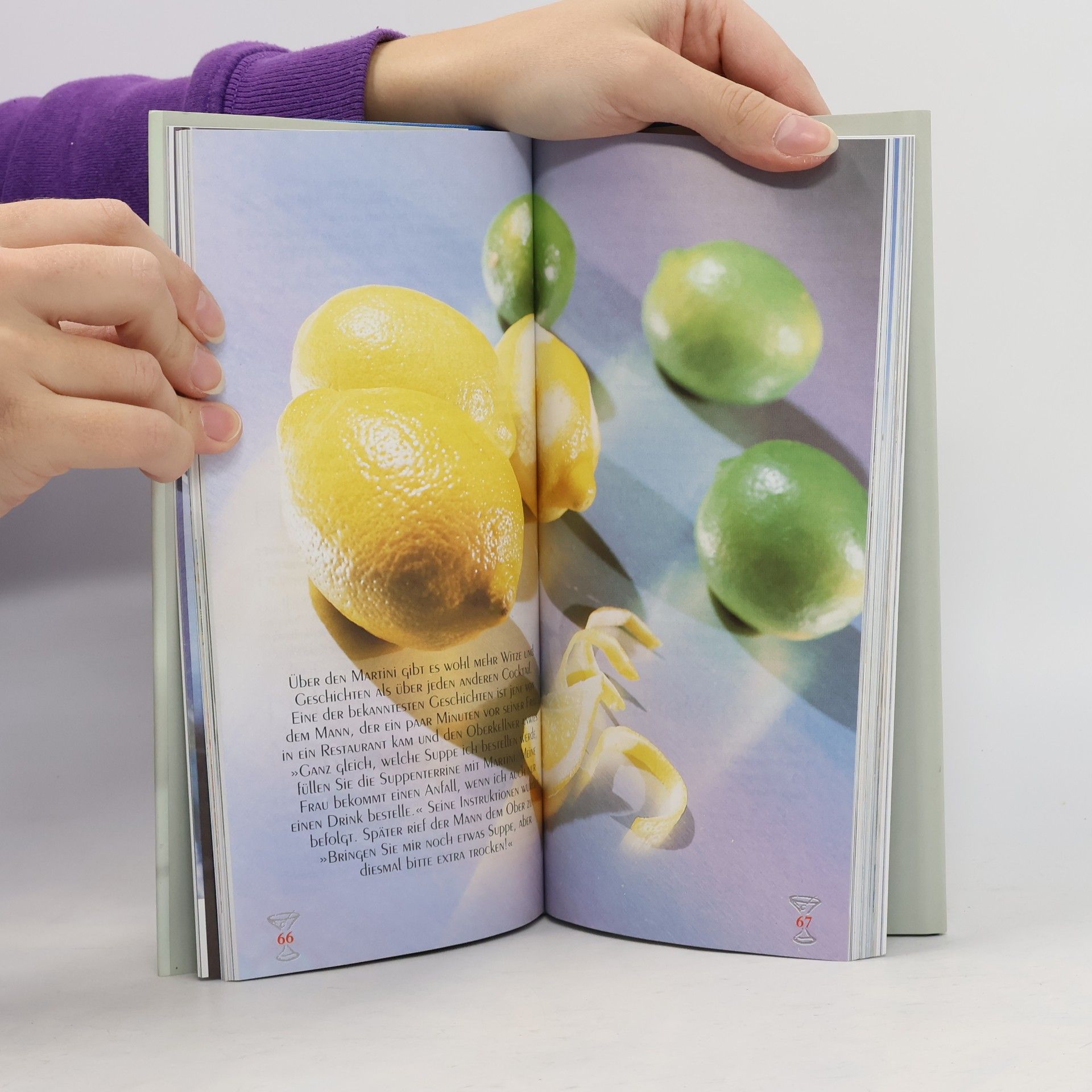 Sally Ann Berk Das Martini-Buch