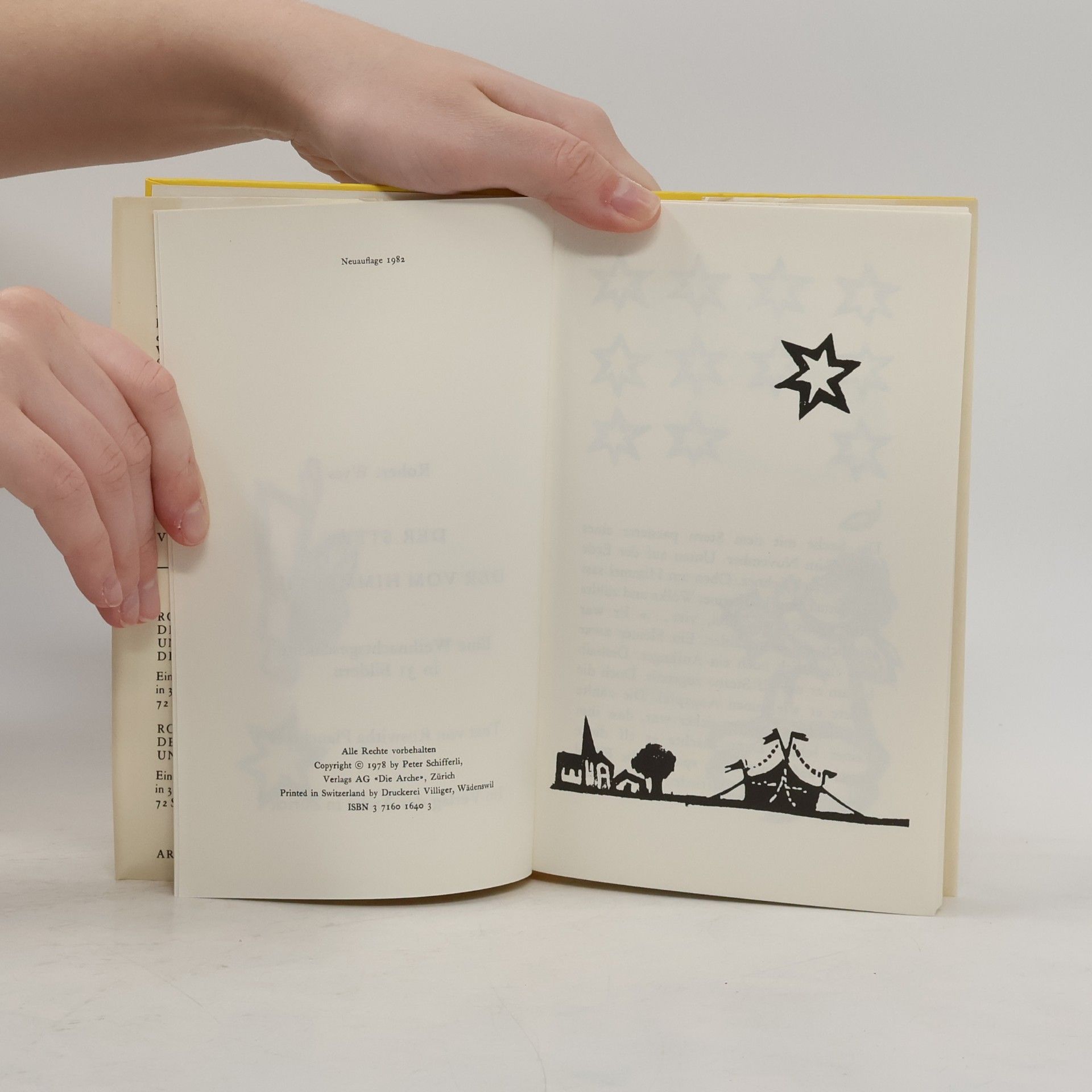 Robert Wyss Der Stern der vom Himmel fiel.: Eine Weihnachtsgeschichte in 31 Tagen.
