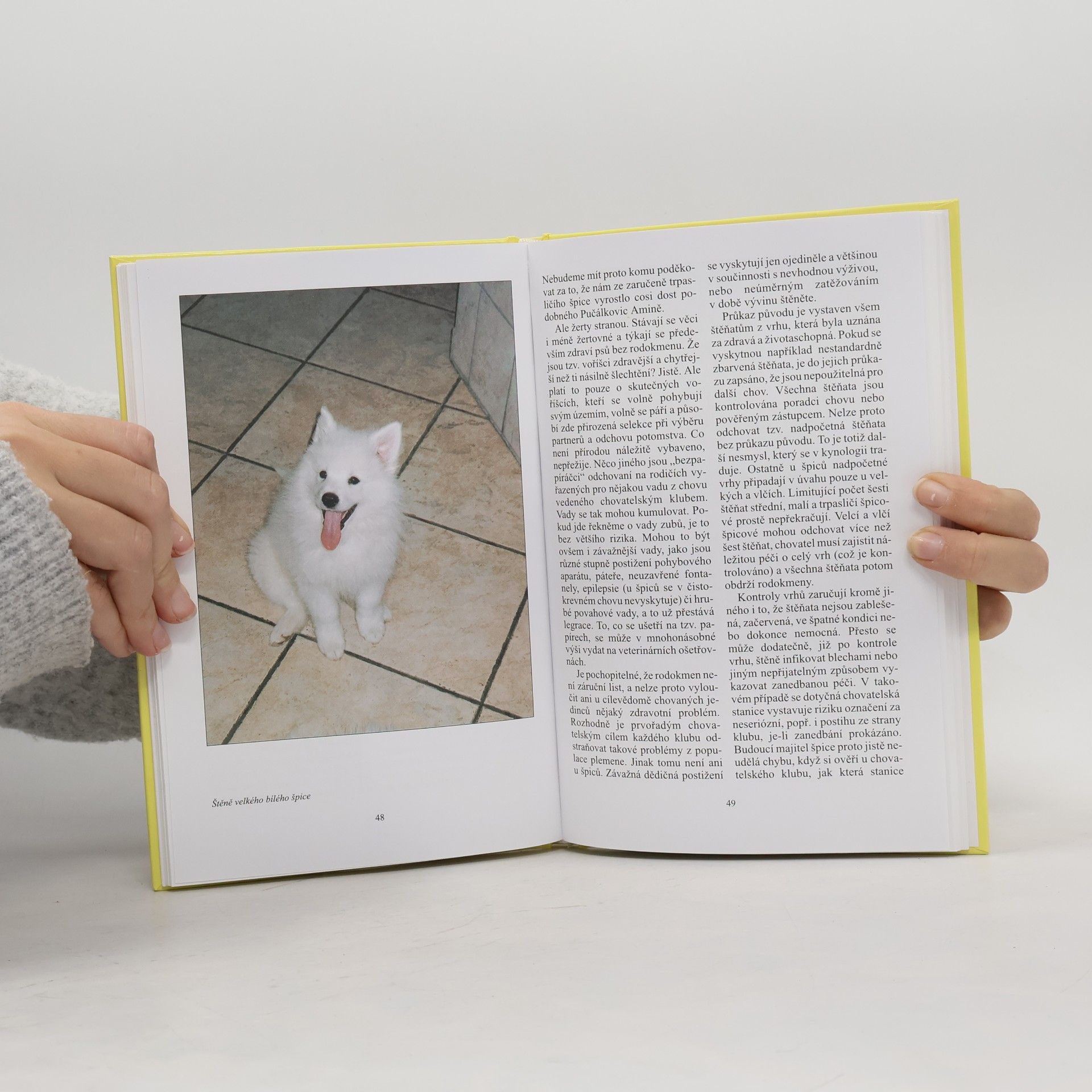 Marie Marušková Špicové : vlčí špic, německý špic, keeshond a pomeranian