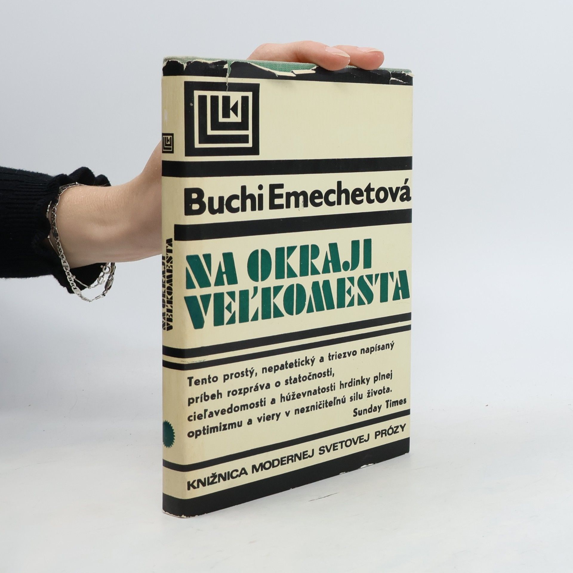 Na okraji veľkomesta