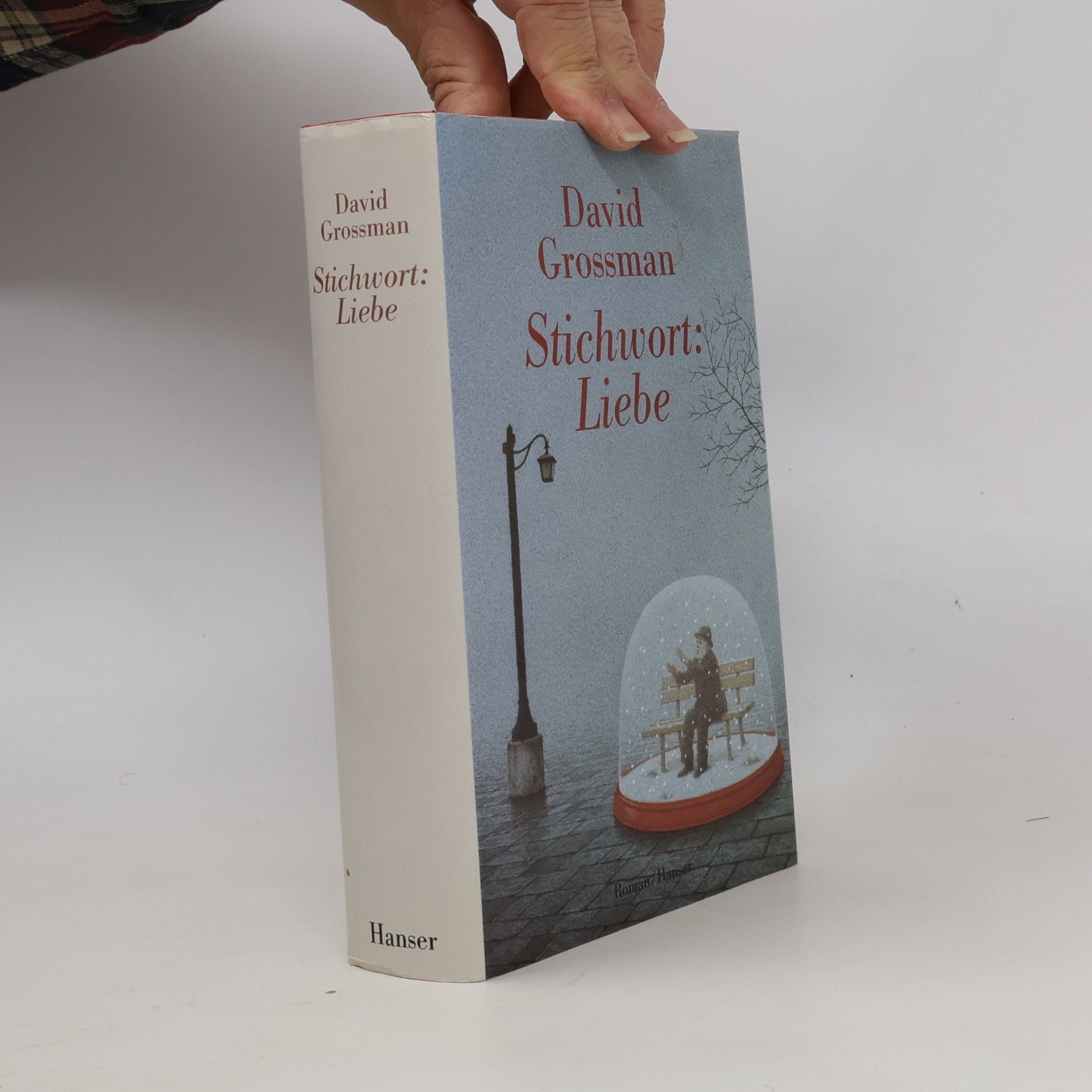 David Grossman Stichwort: Liebe