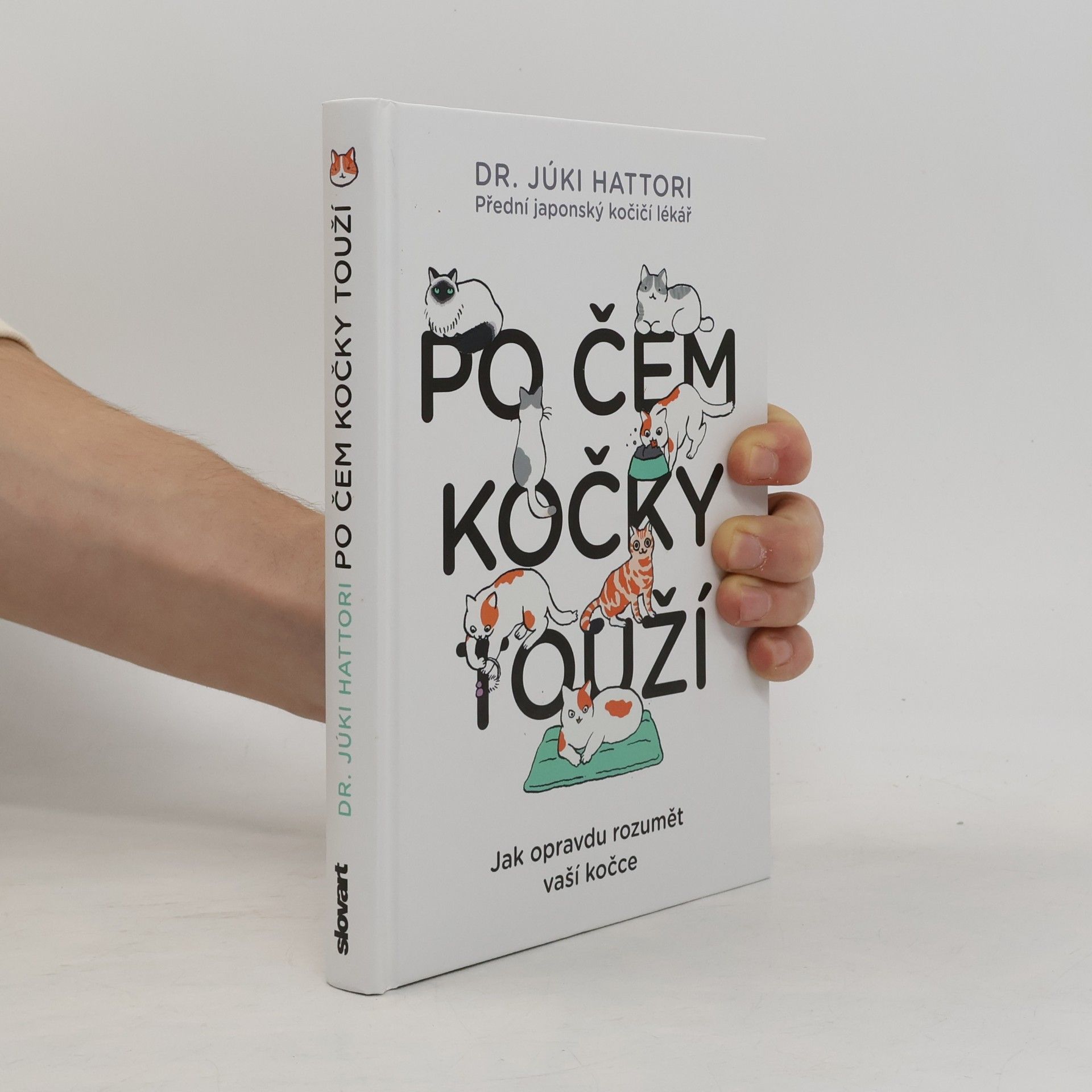 Júki Hattori Po čem kočky touží : jak opravdu rozumět vaší kočce