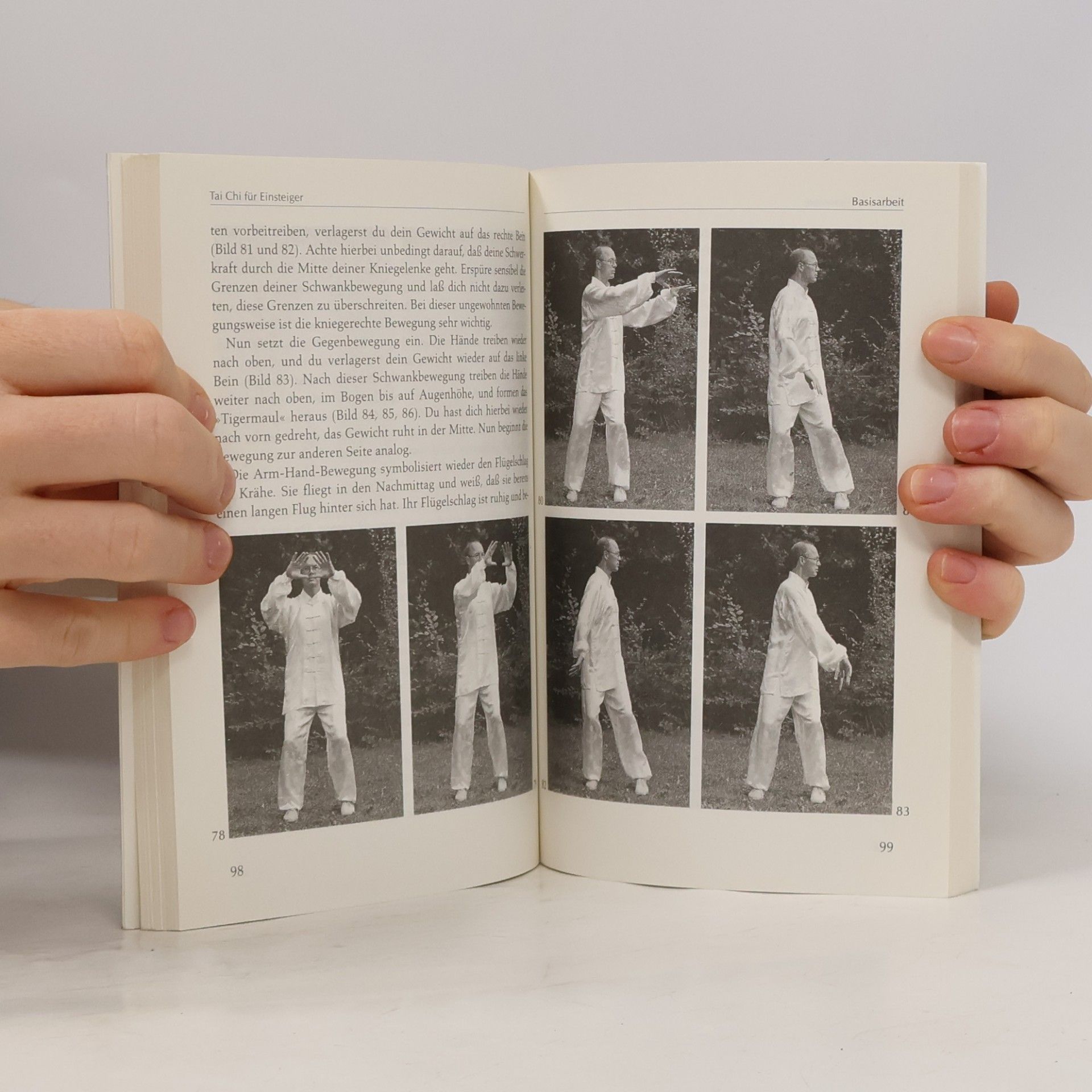 Klaus Moegling Tai-chi-chuan für Einsteiger