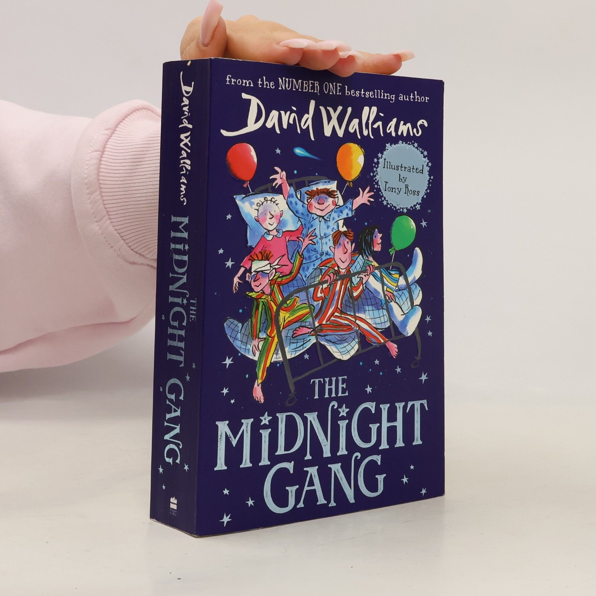 David Walliams The Midnight Gang