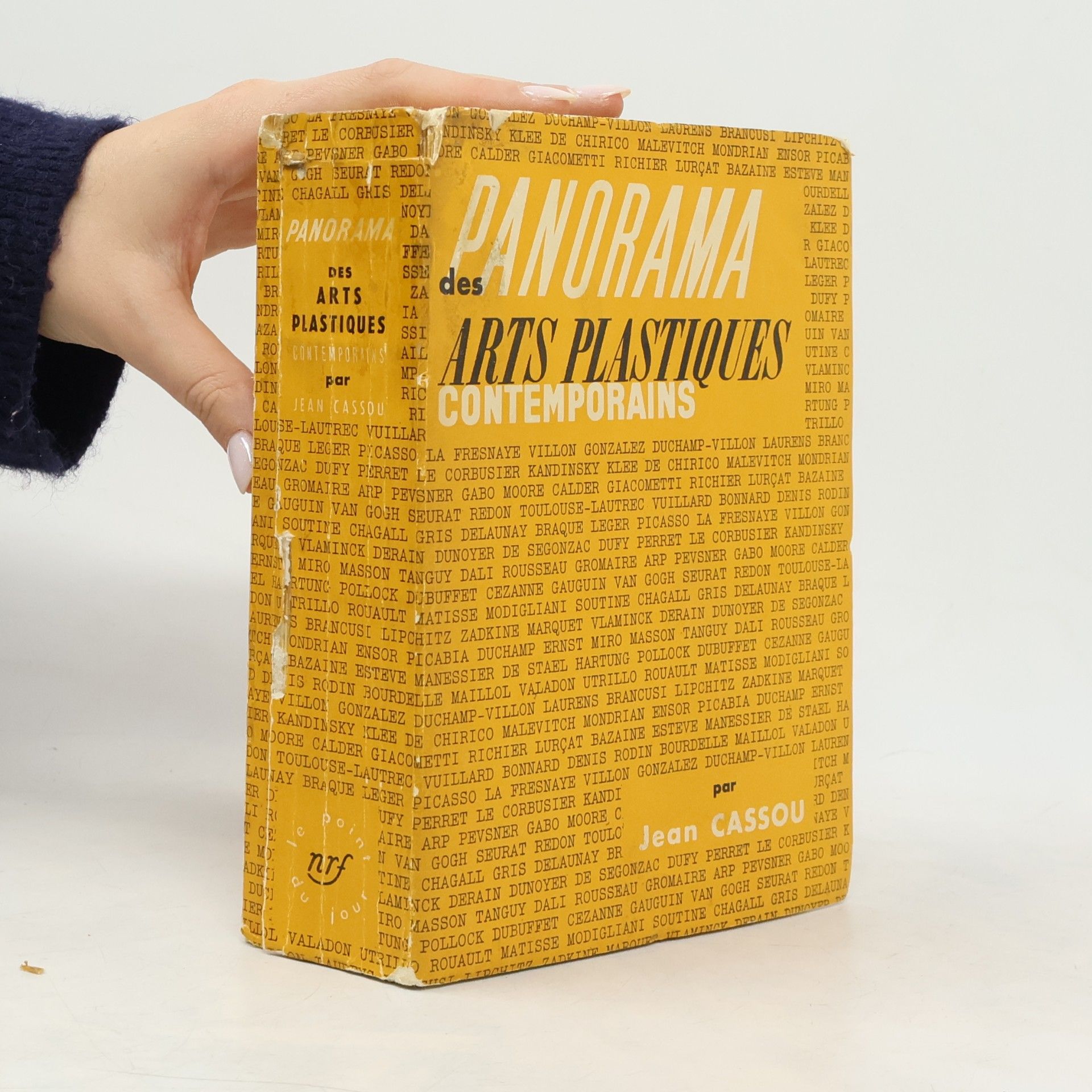 Panorama des arts plastiques contemporains