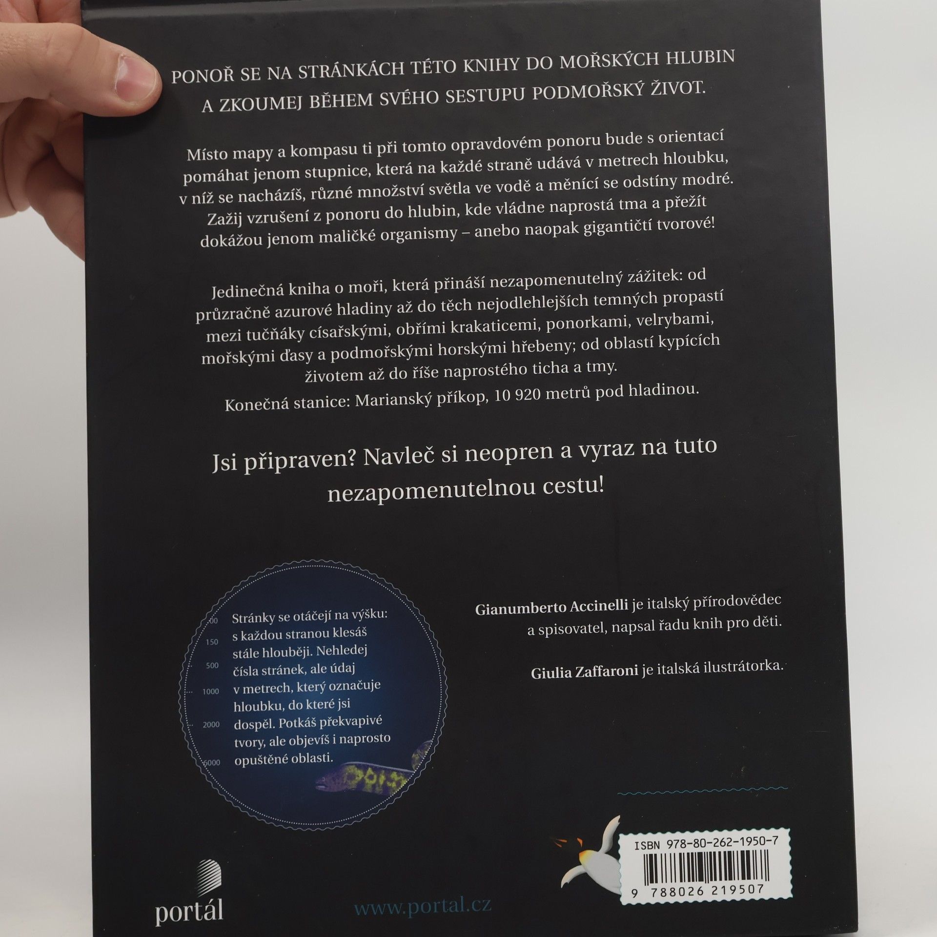 Gianumberto Accinelli Pod hladinu