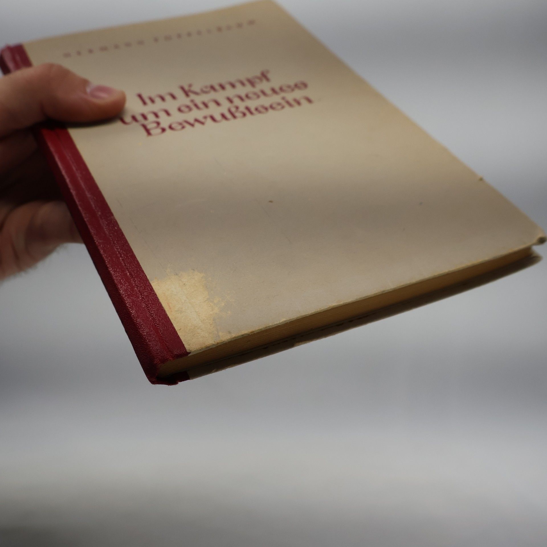 Hermann Poppelbaum Im Kampf um ein neues Bewusstsein