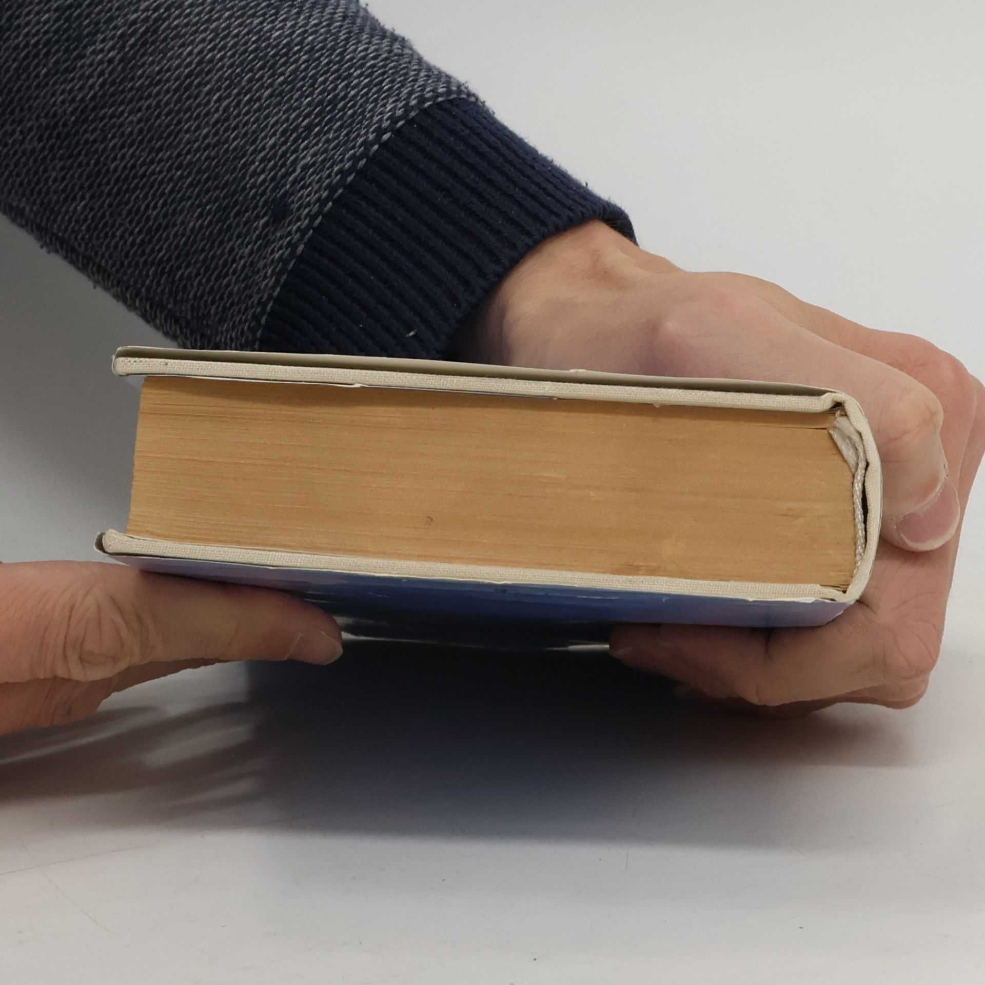 Autorenkollektiv Česká literatura 1918–1945. I. díl slovníkové studijní příručky