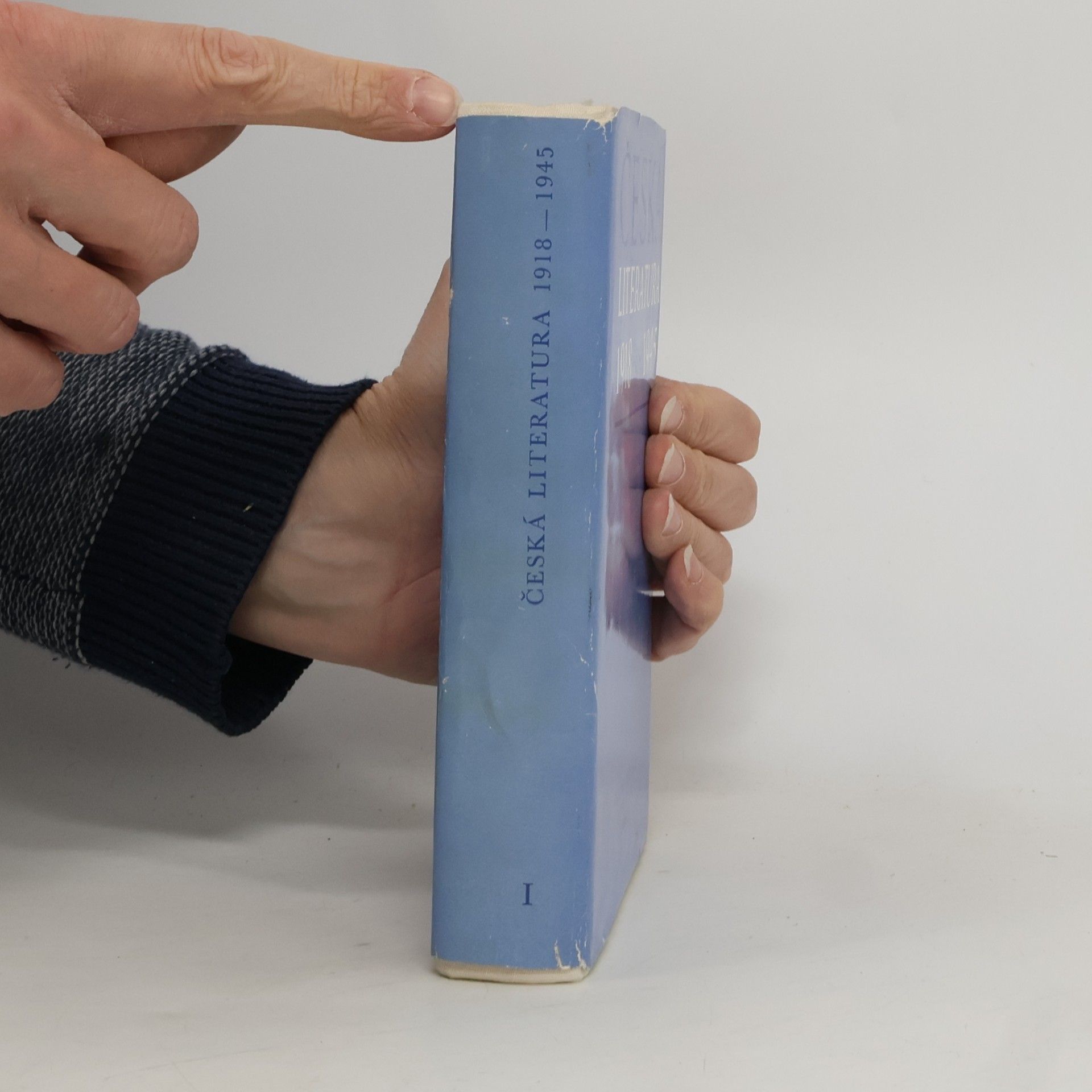 Autorenkollektiv Česká literatura 1918–1945. I. díl slovníkové studijní příručky