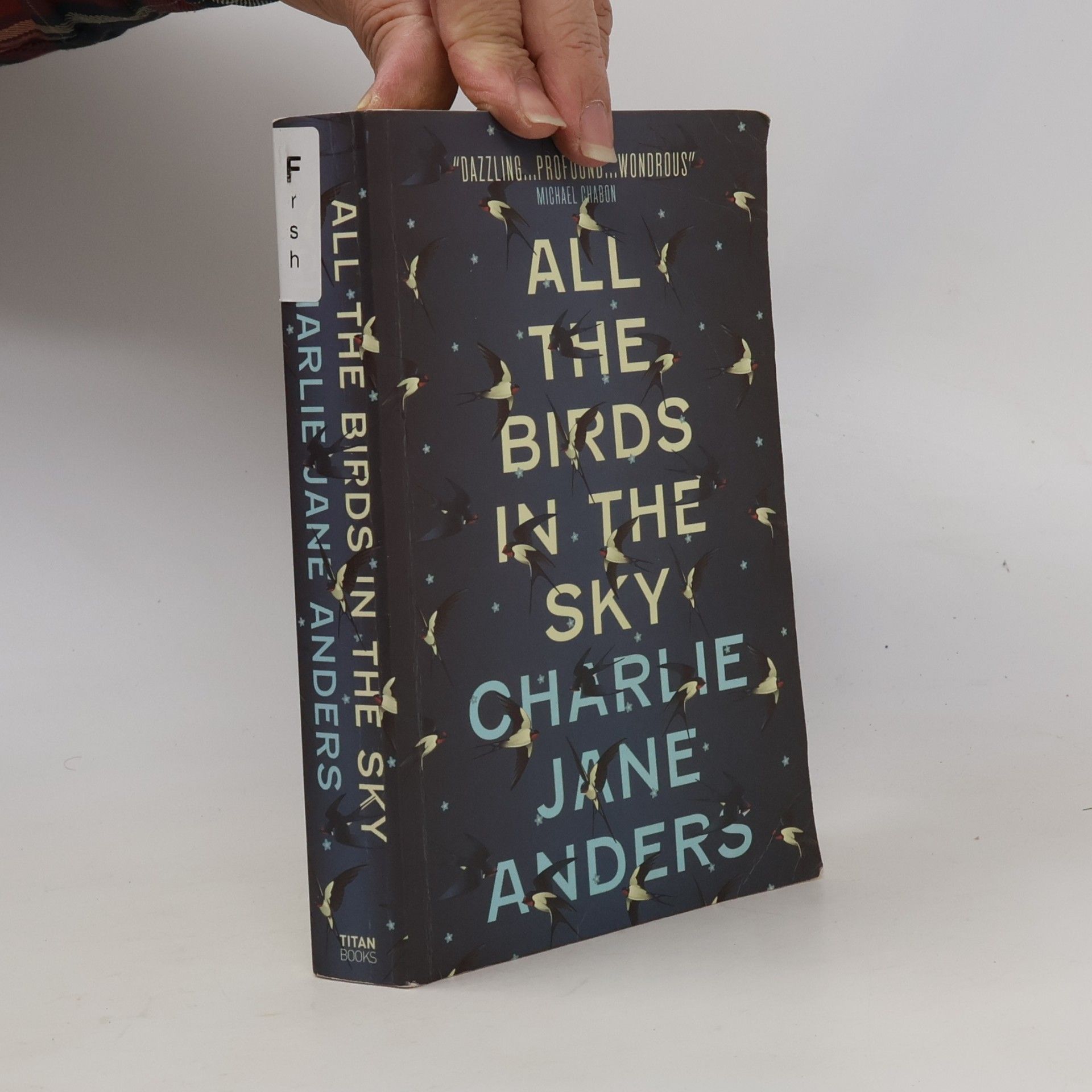 Charlie J. Anders All the Birds in the Sky