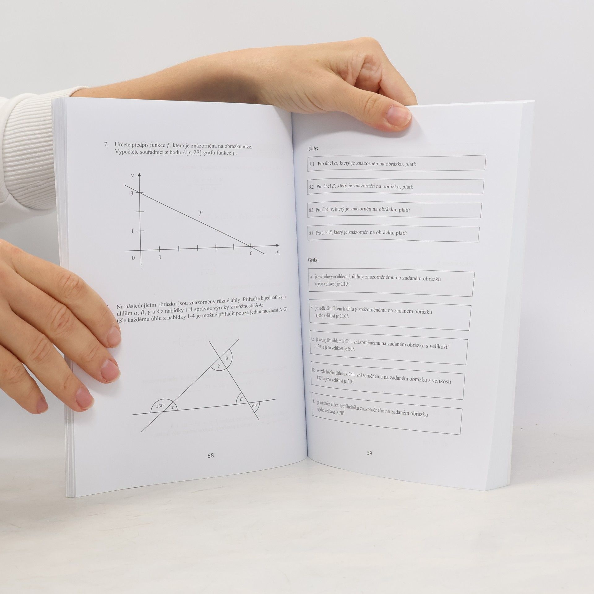 Collectif d'auteurs Tvoje státní maturita 2019. Matematika