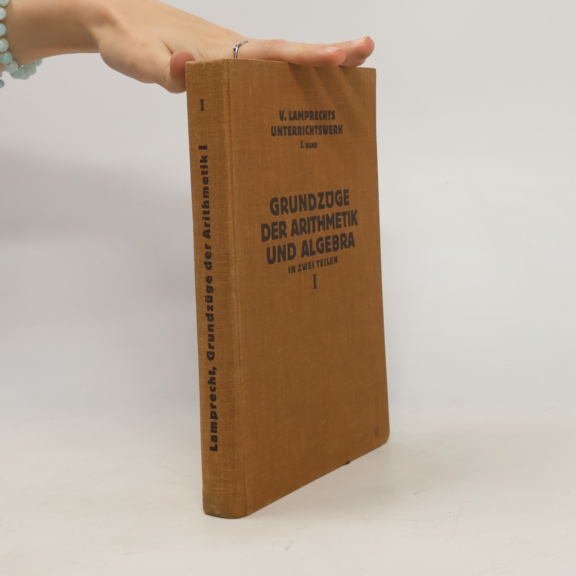 Grundzüge der Arithmetik und Algebra I.