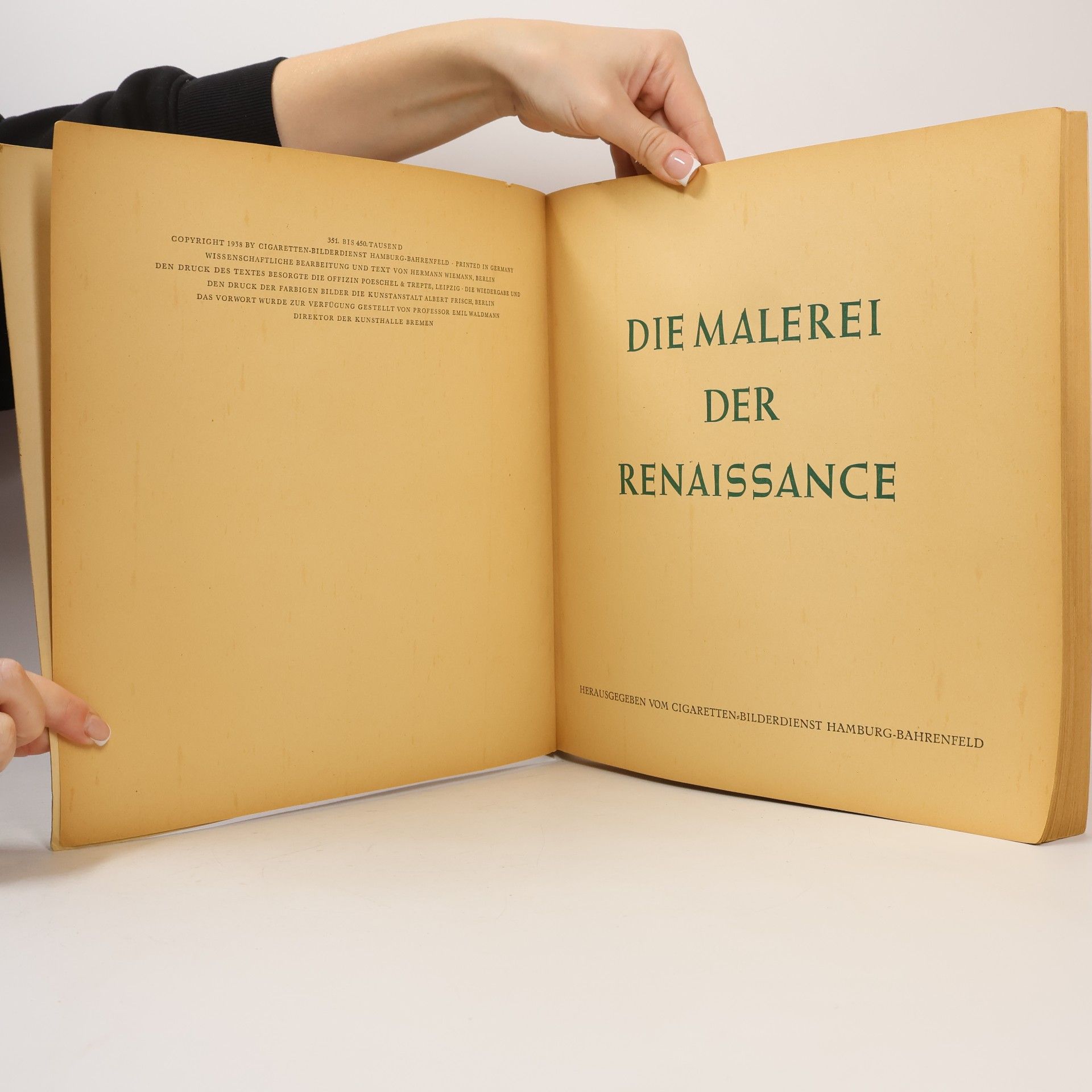 Collectif d'auteurs Die Malerei der Renaissance