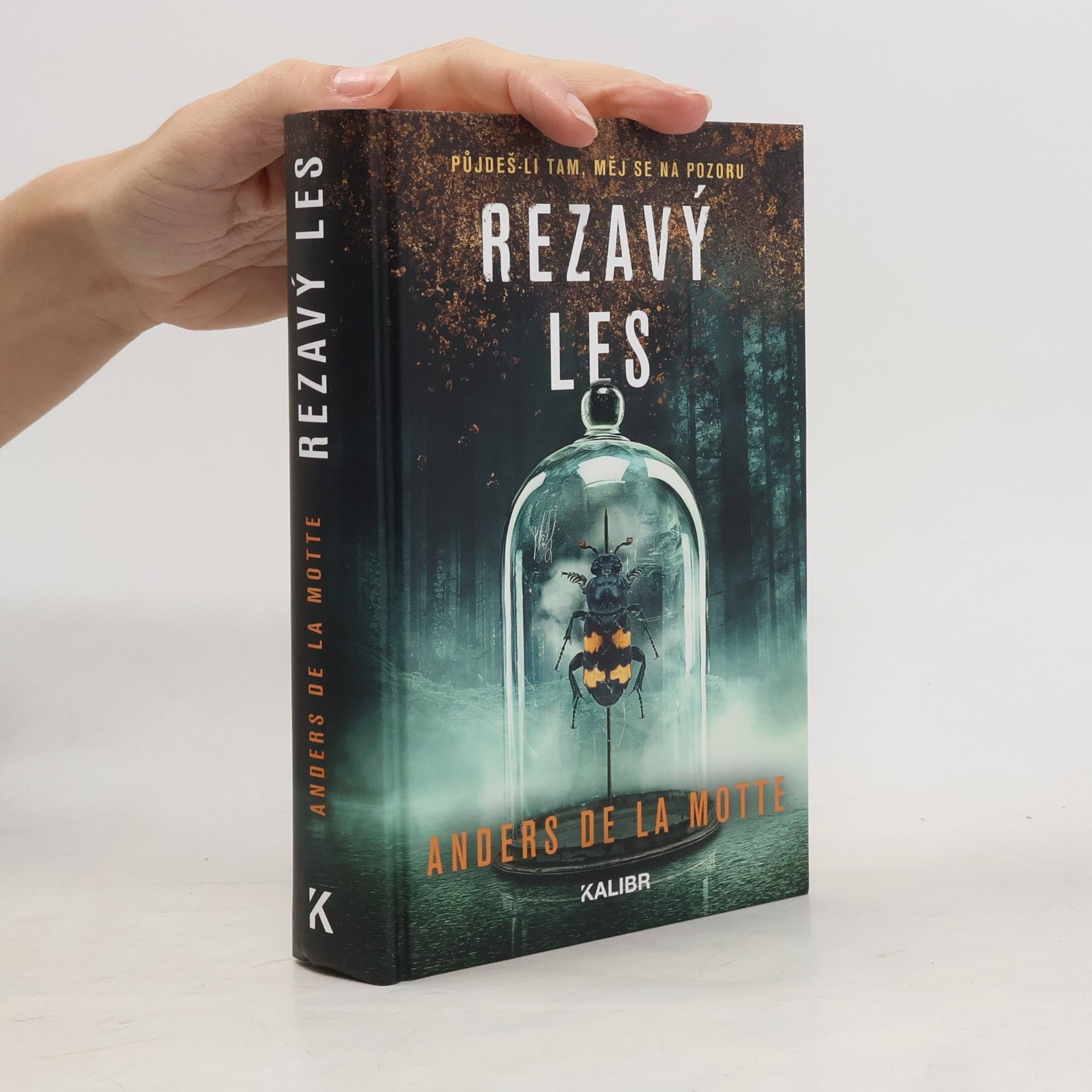 Rezavý les