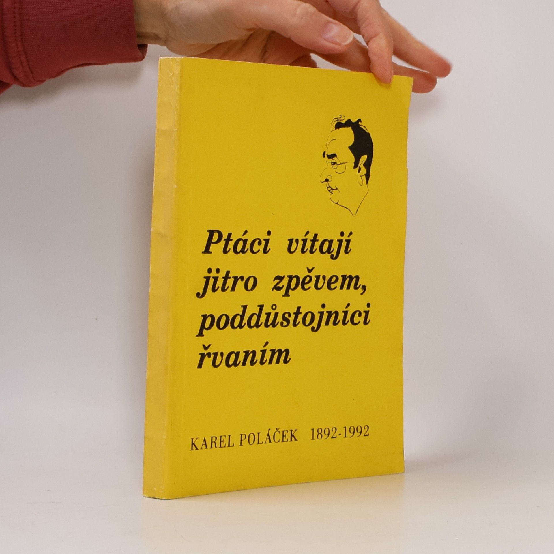 Ptáci vítají jitro zpěvem, poddůstojníci řvaním
