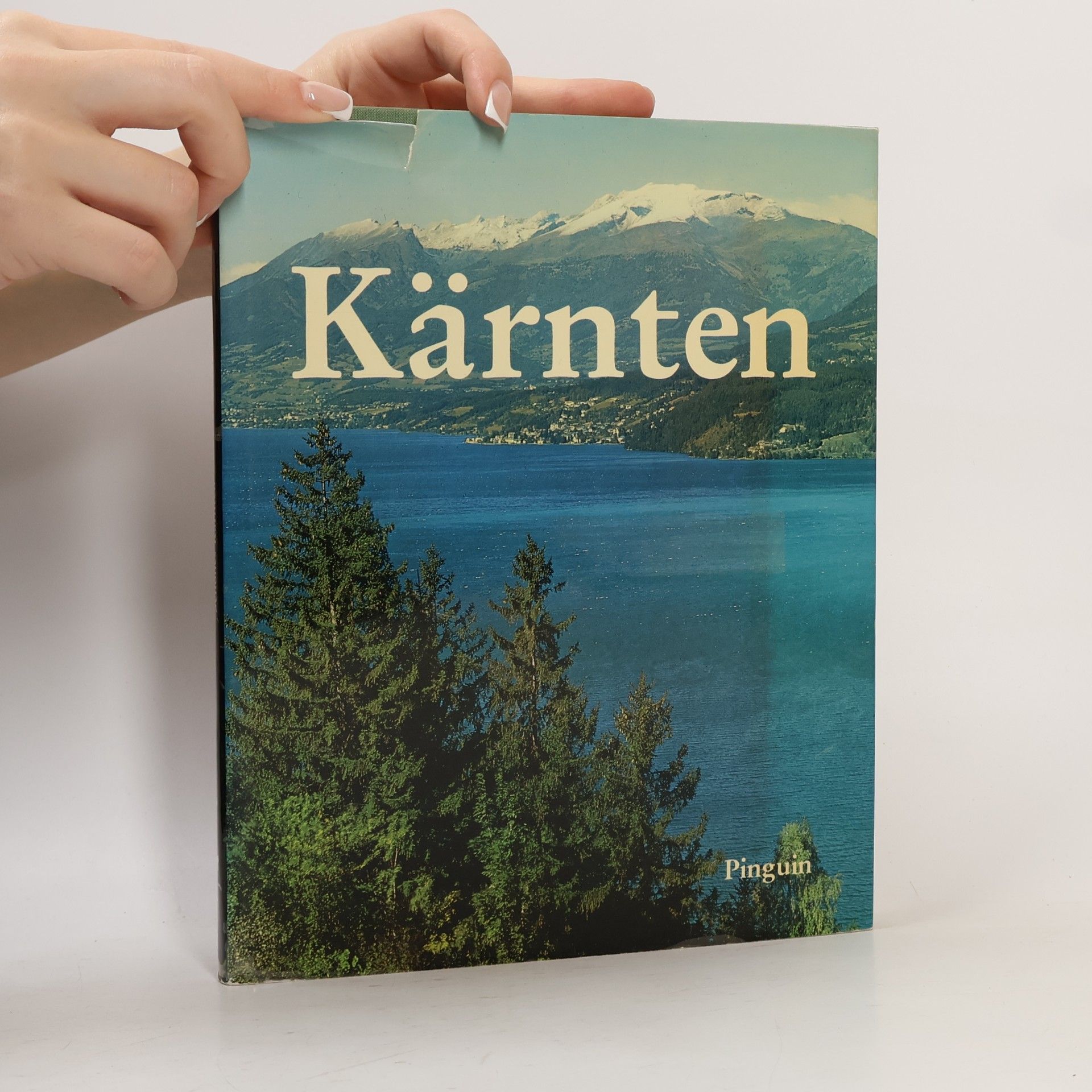 Collectif d'auteurs Kärnten