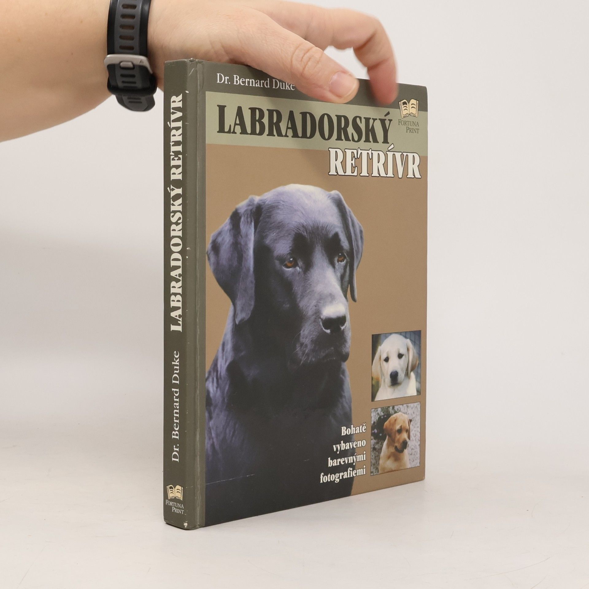 Labradorský retrívr