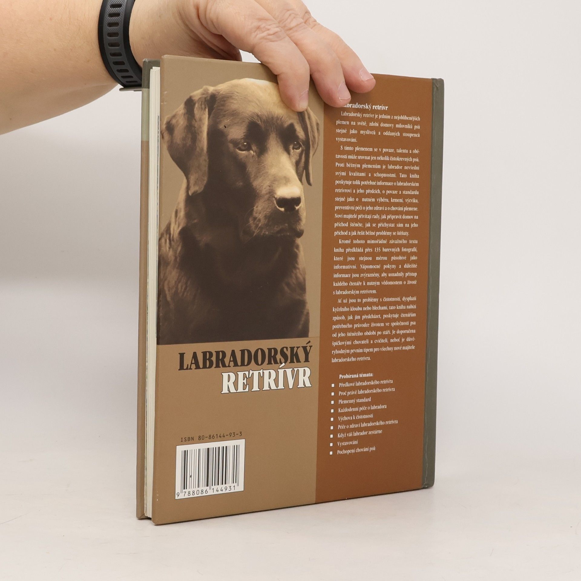 Bernard Duke Labradorský retrívr