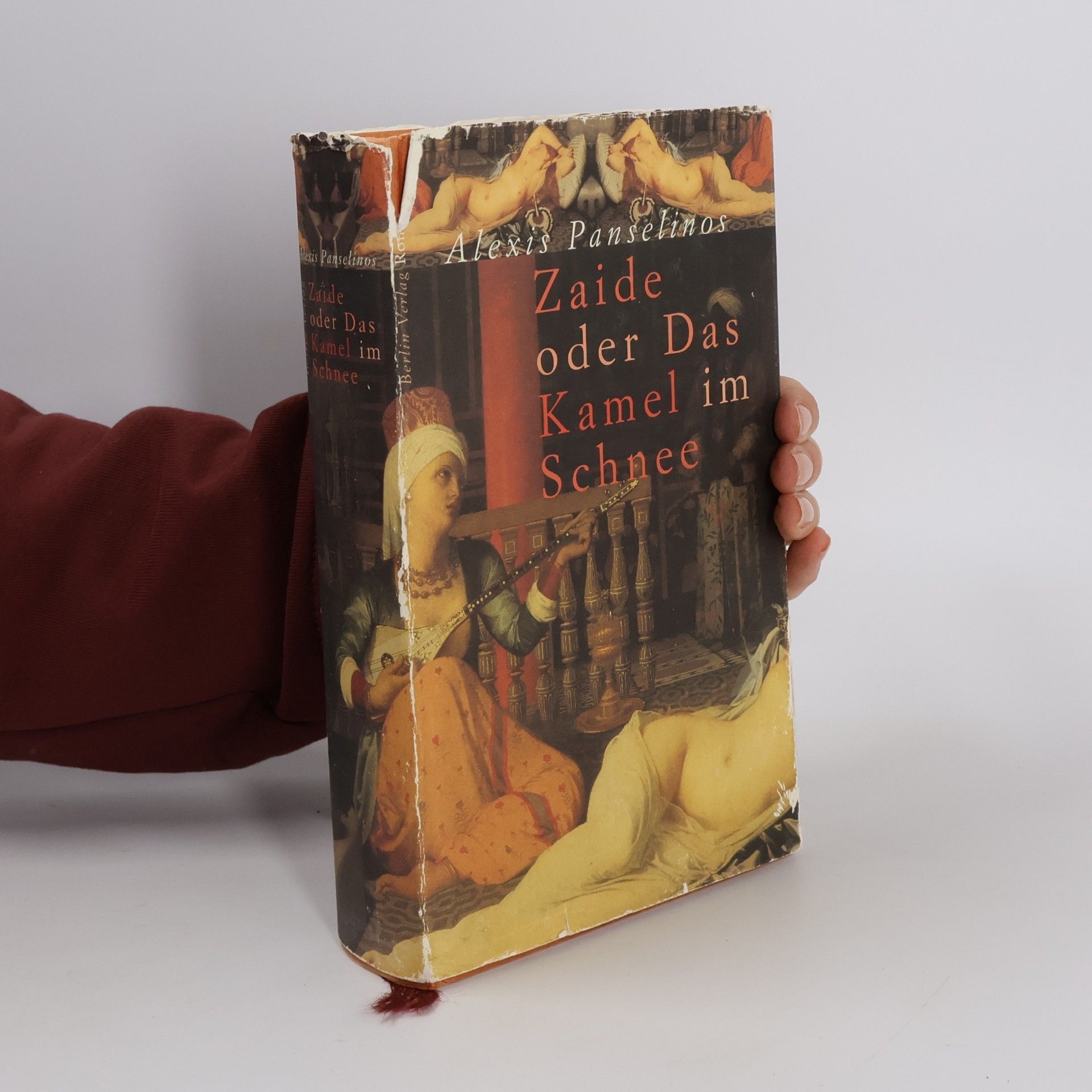 Zaide oder das Kamel im Schnee