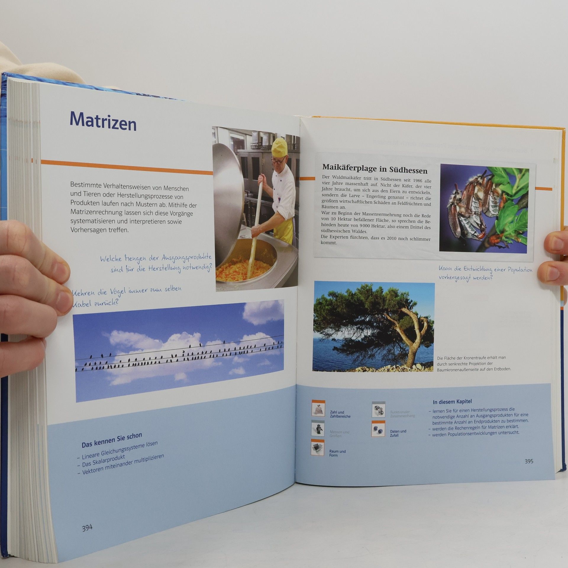 Heike Thümmler Lambacher Schweizer - Mathematik für Gymnasien