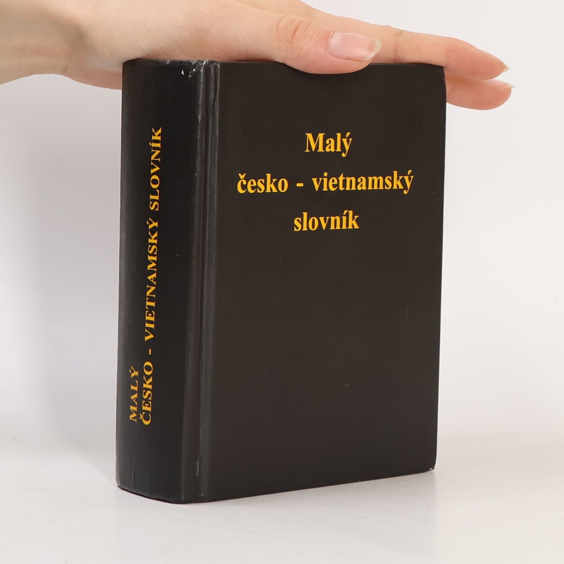 Malý česko-vietnamsko slovník