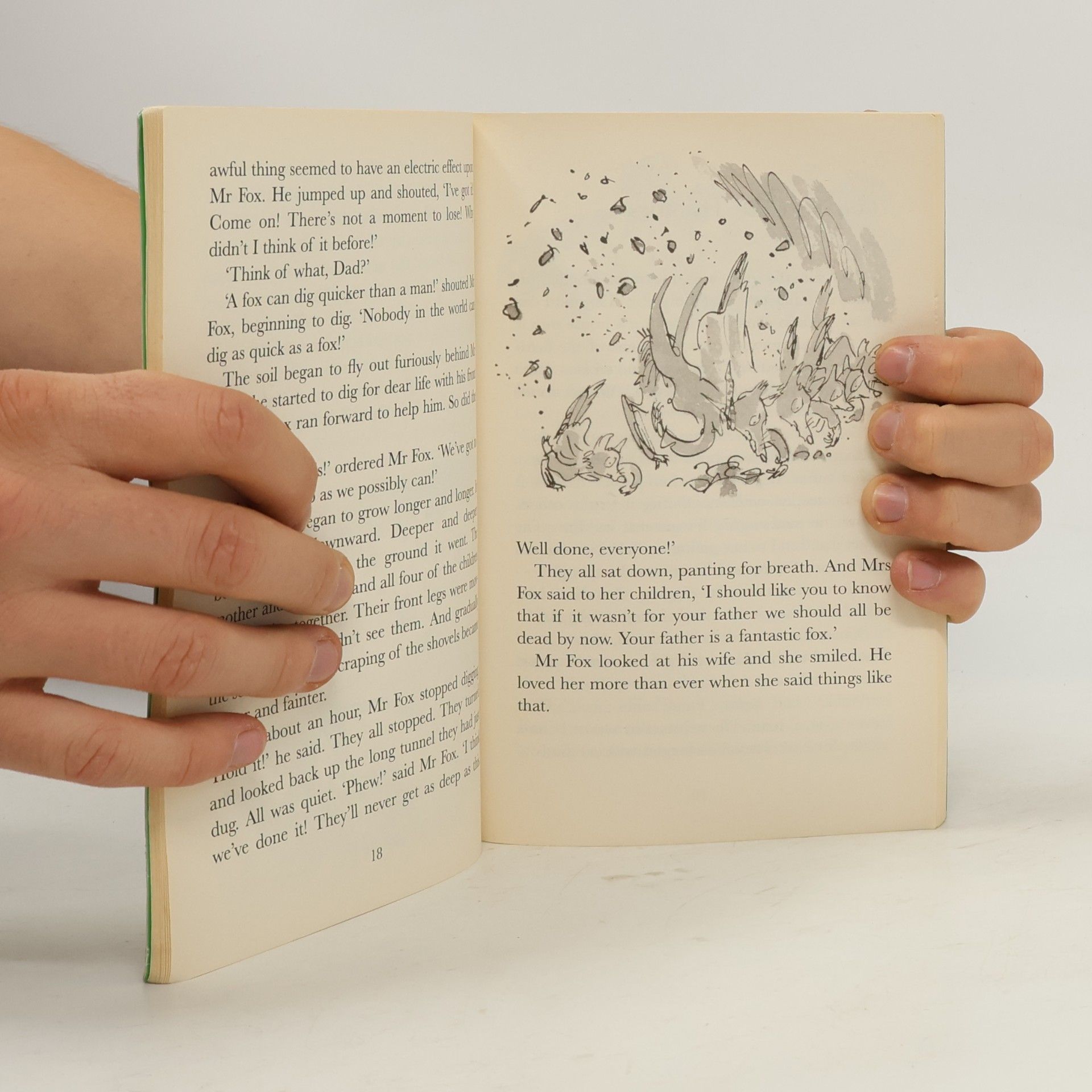 Roald Dahl Fantastic Mr Fox