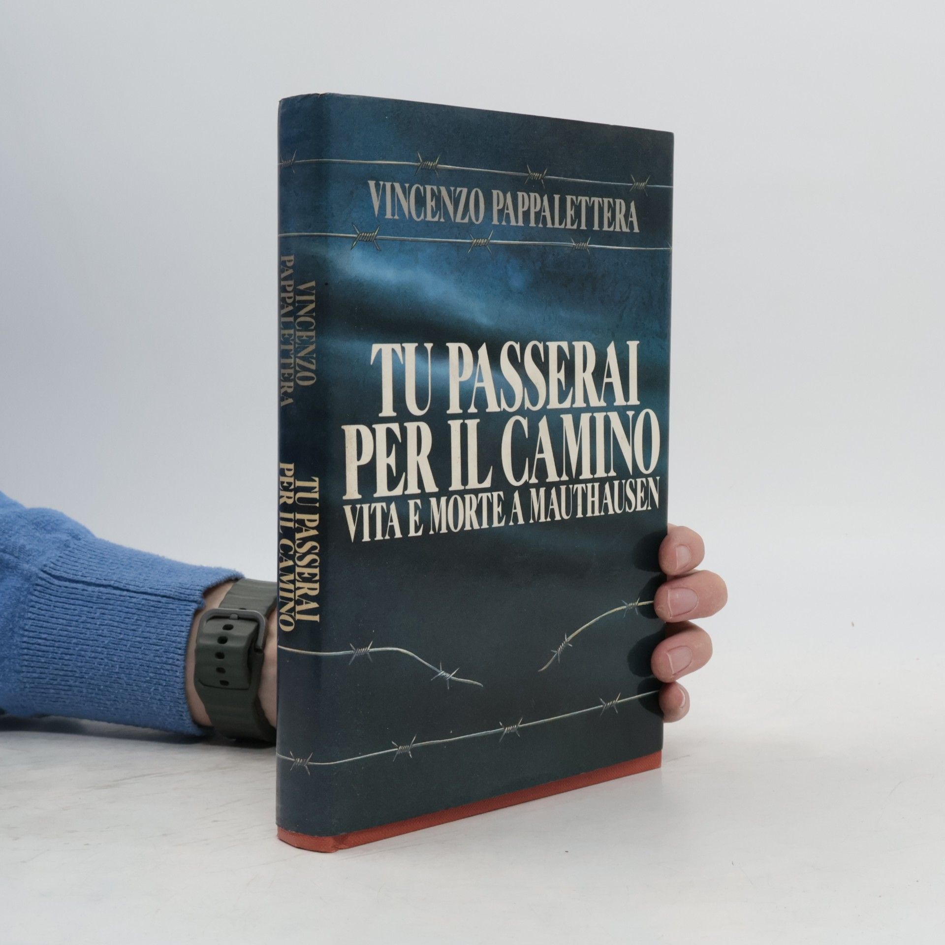 Tu passerai per il camino