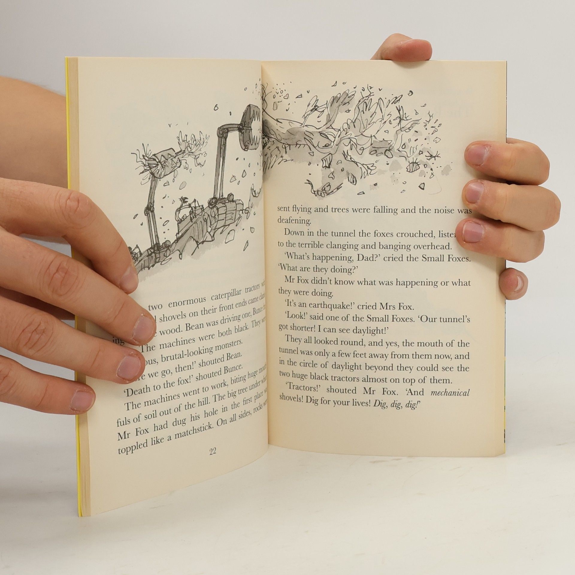 Roald Dahl Fantastic Mr Fox