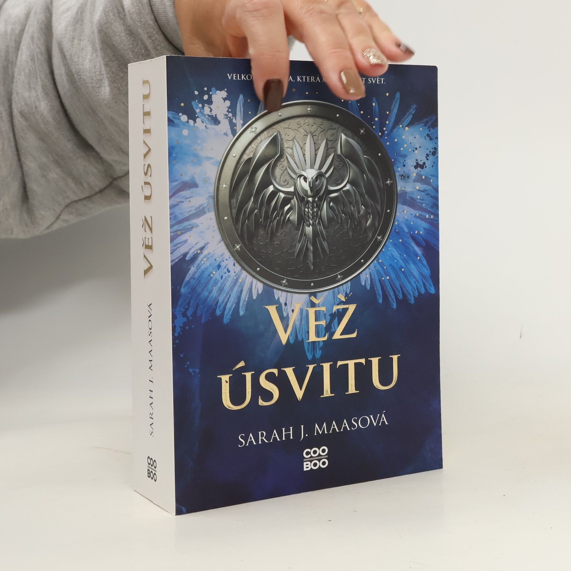 Sarah J. Maasová Věž úsvitu
