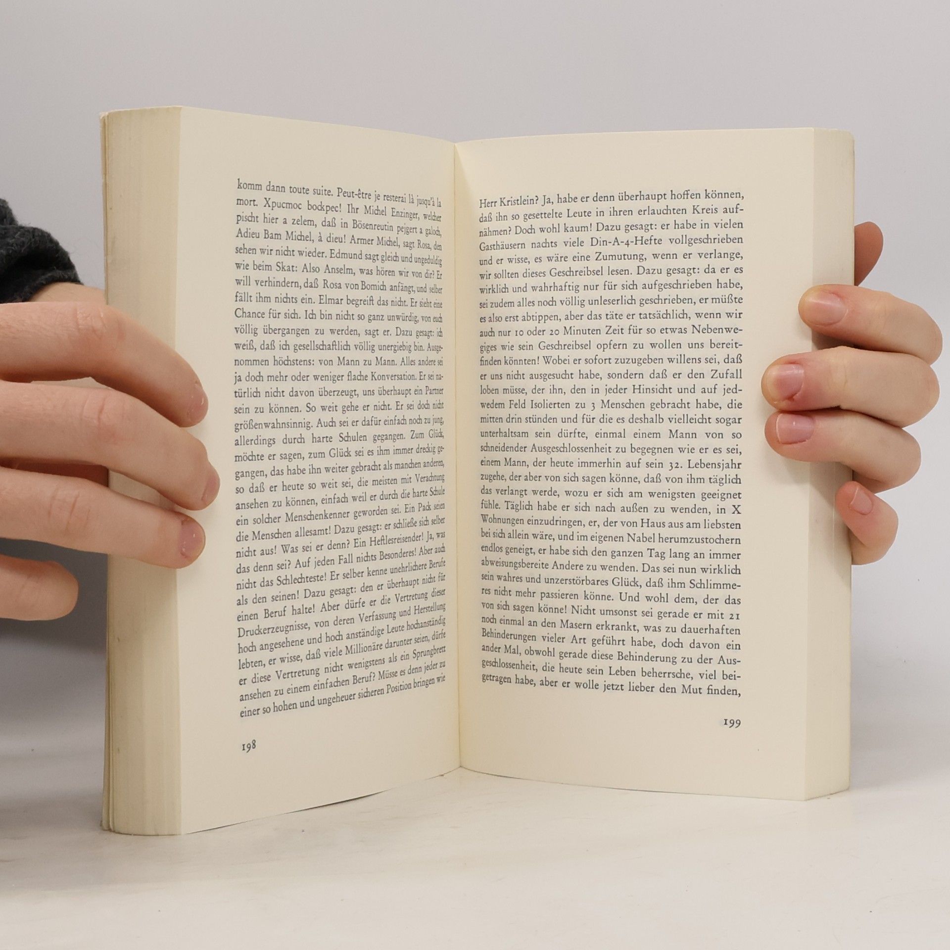 Martin Walser Der Sturz