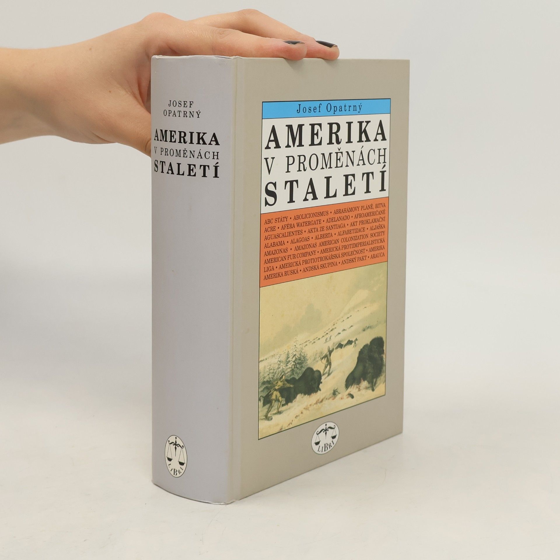 Amerika v proměnách staletí