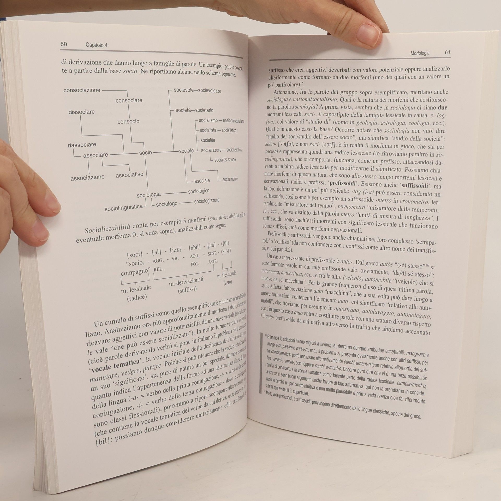 Gaetano Berruto Corso elementare di linguistica generale