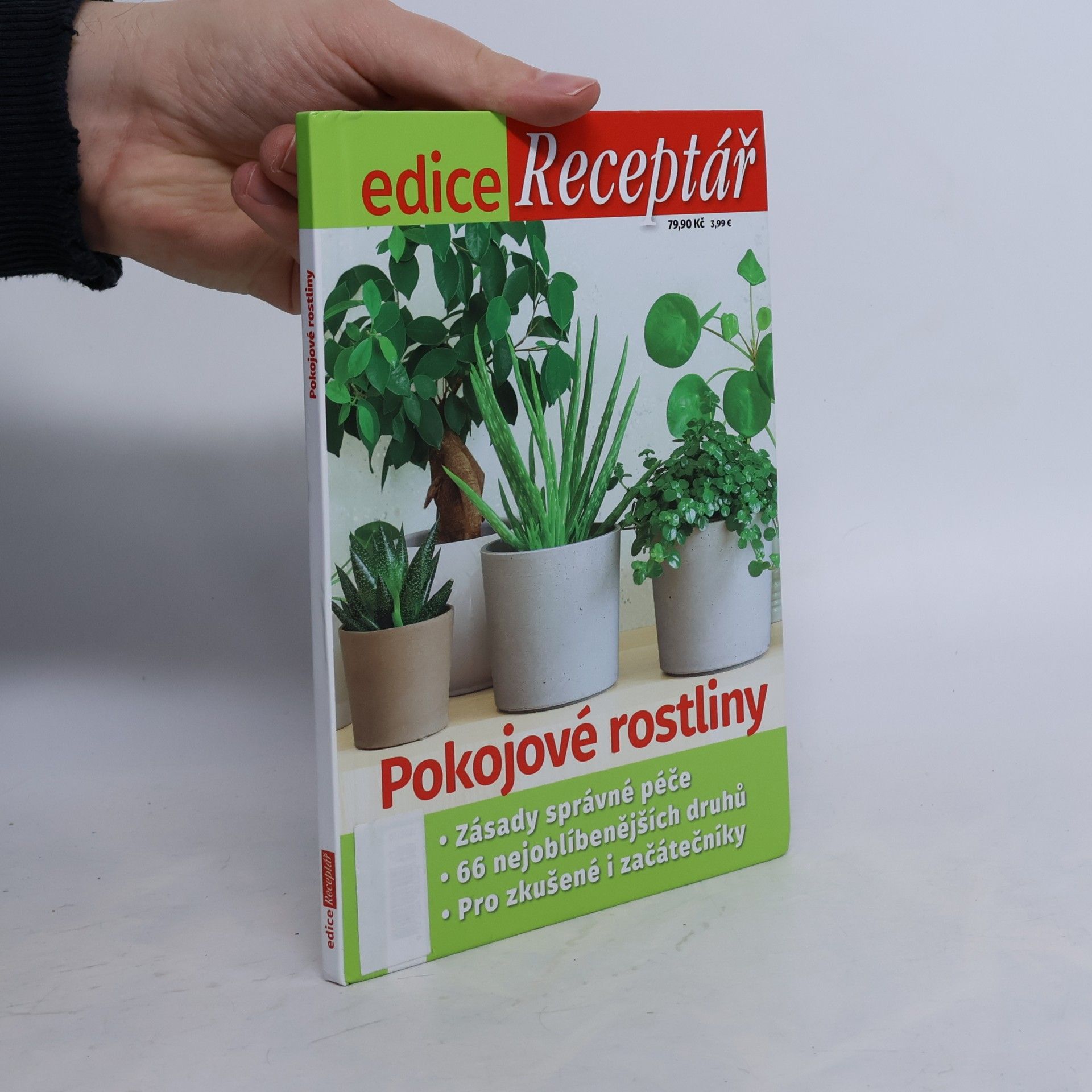 Pokojové rostliny