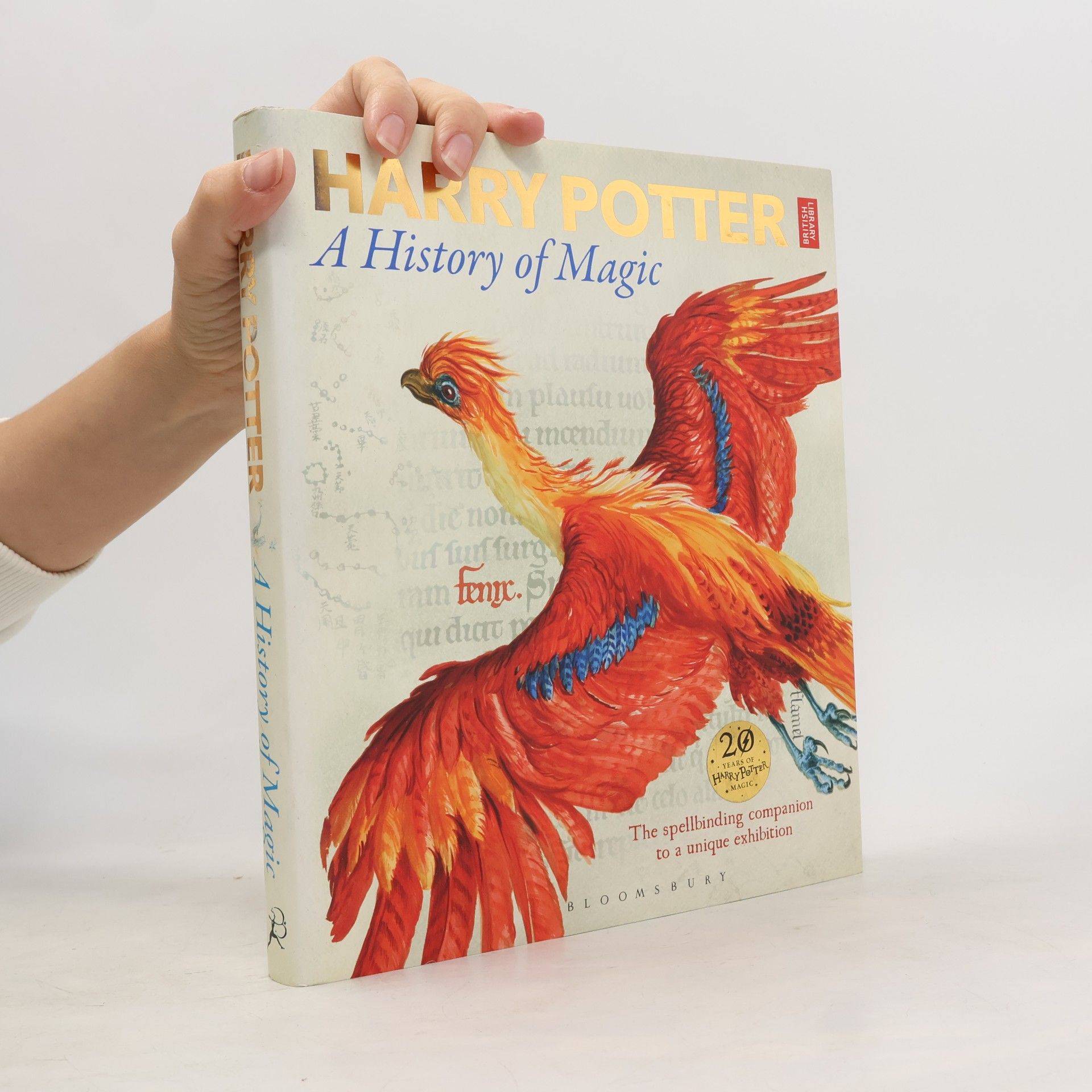Harry Potter. A history of magic